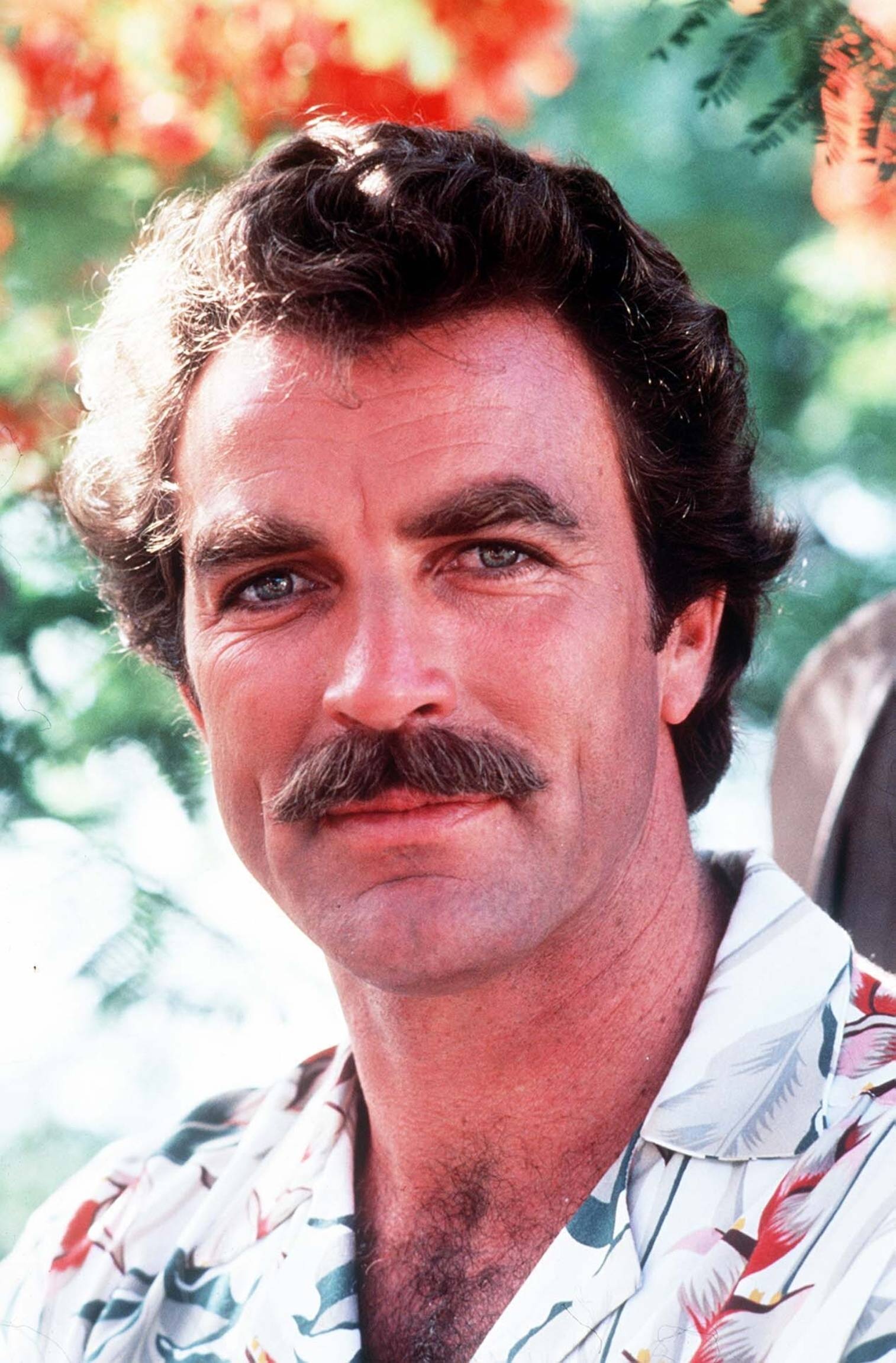 Tom Selleck Wallpapers (25+ images inside)