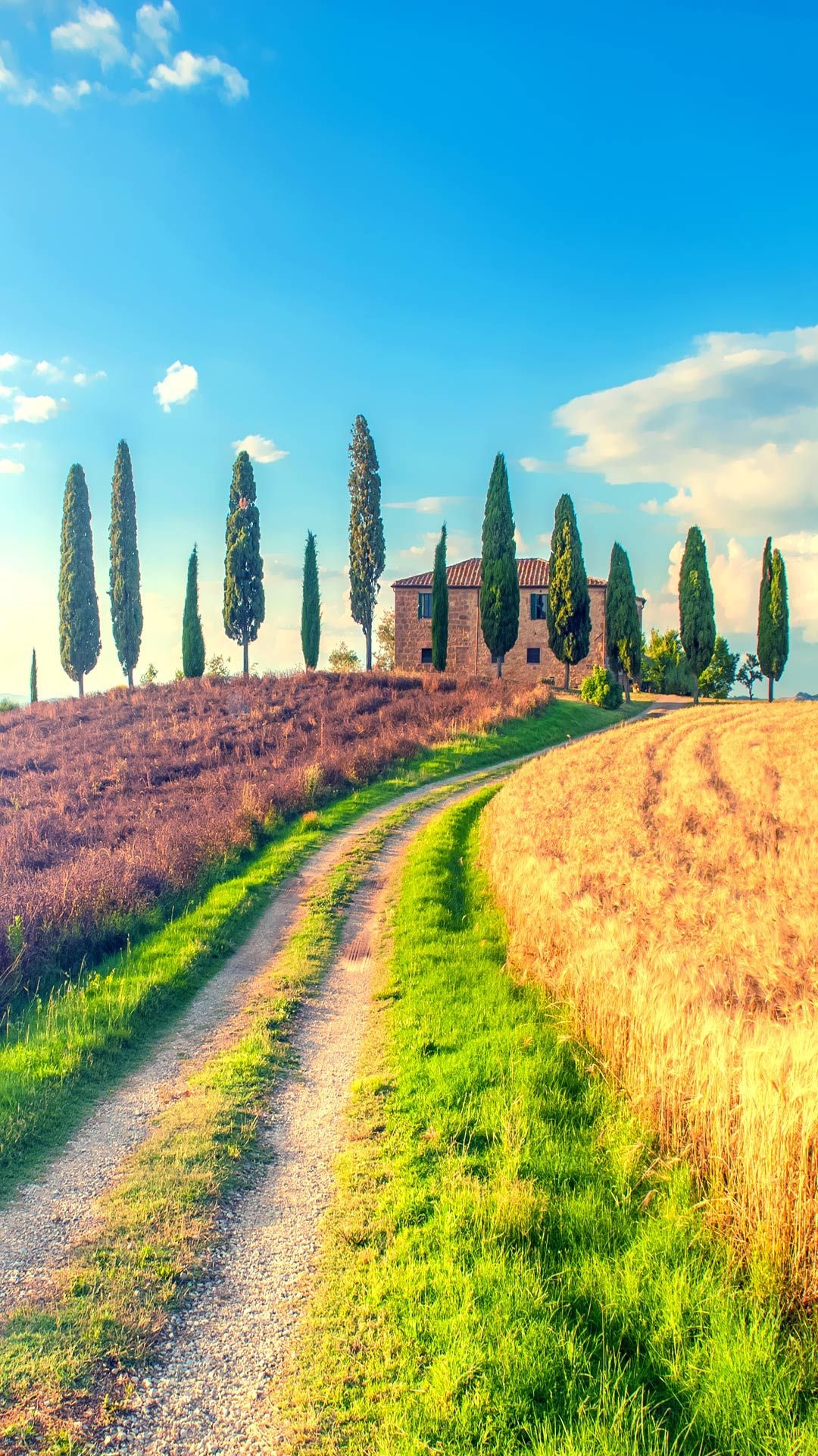 Autumn in Tuscany, Beautiful landscapes, Italian countryside, Tourism spot, 1080x1920 Full HD Handy