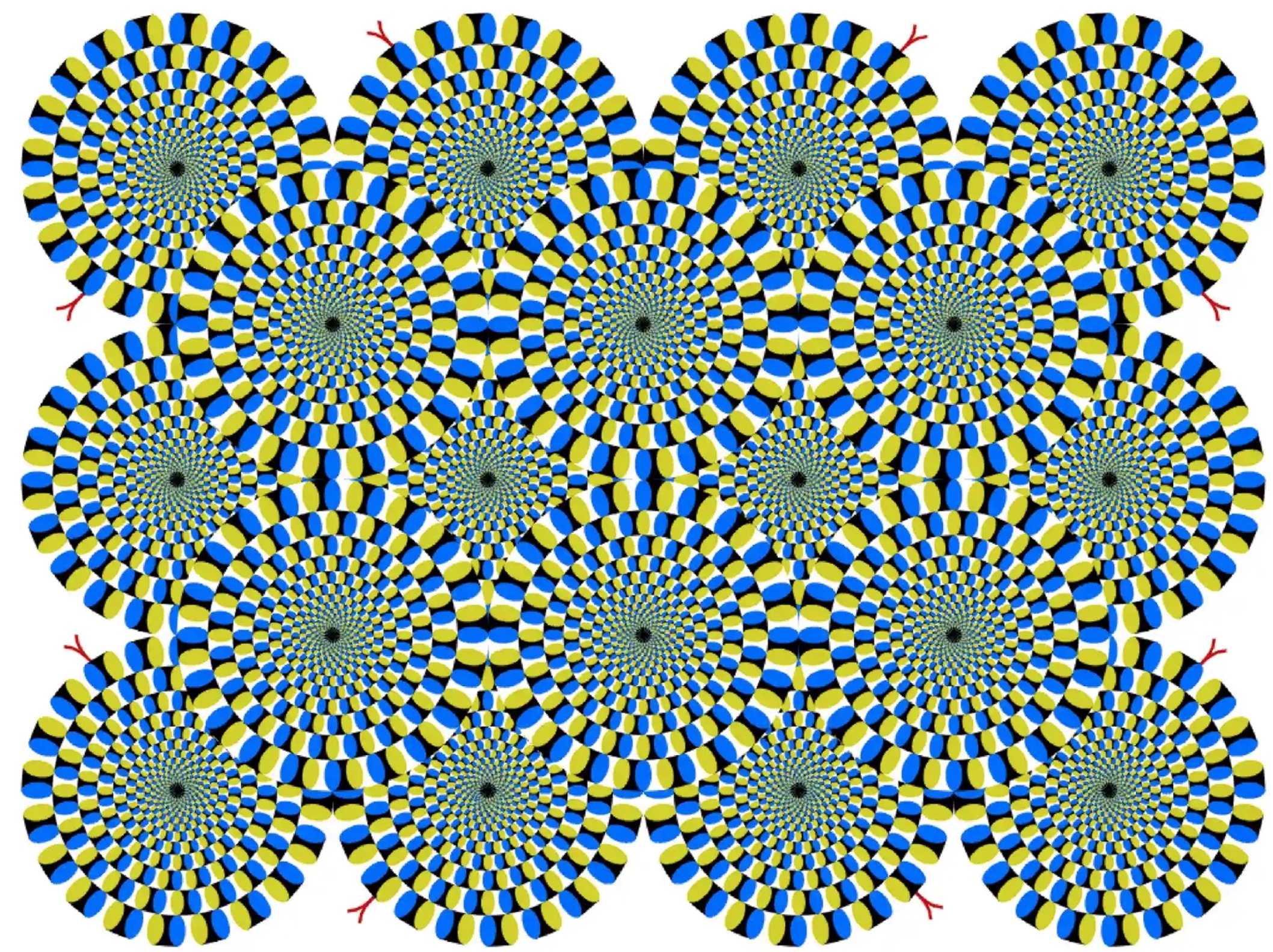 Stunning illusion, Brain revelation, Visual fascination, Thought-provoking, 2120x1590 HD Desktop