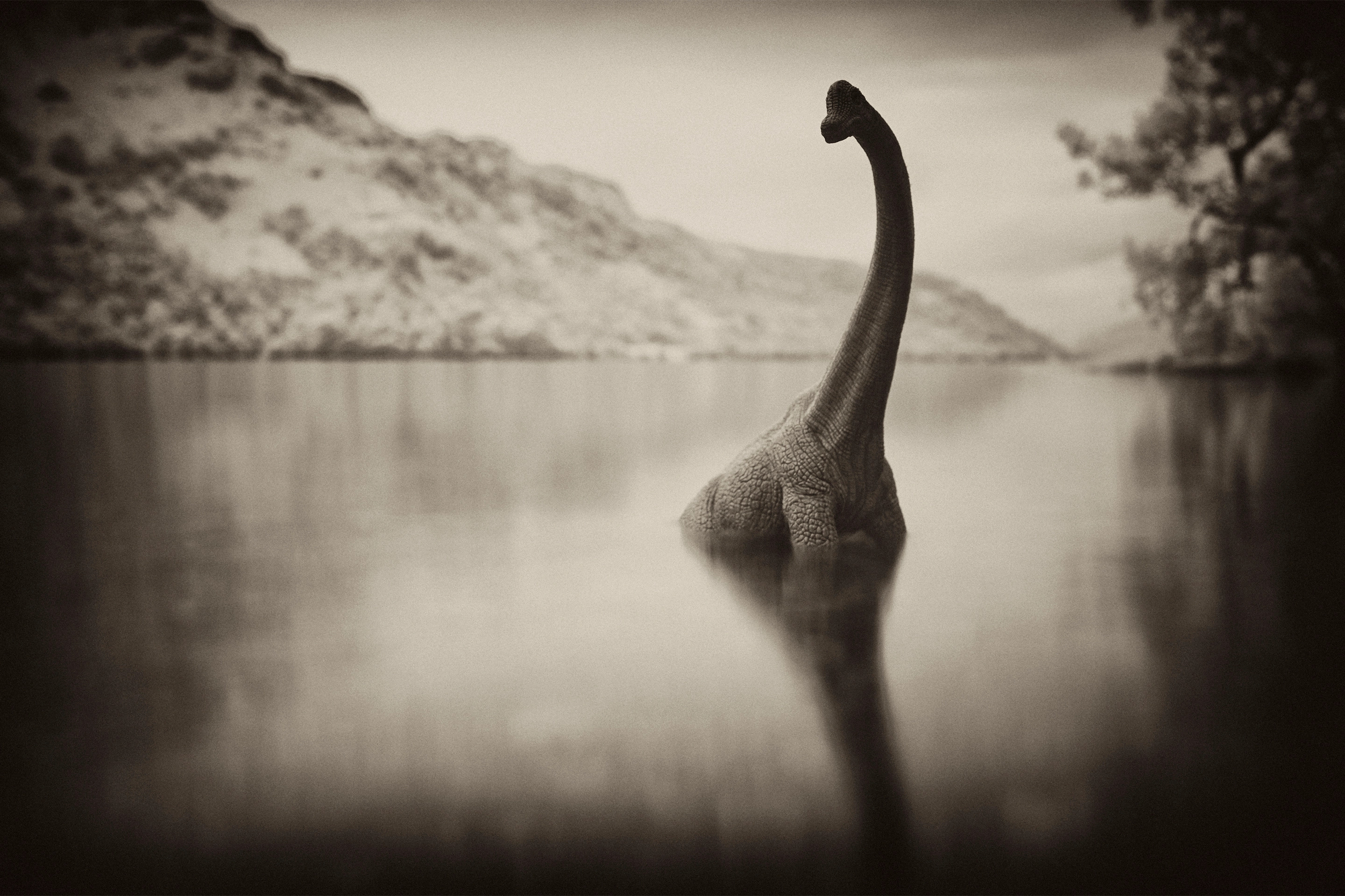 Loch Ness Monster, Hunt, Unexpected results, Intriguing discovery, 2880x1920 HD Desktop