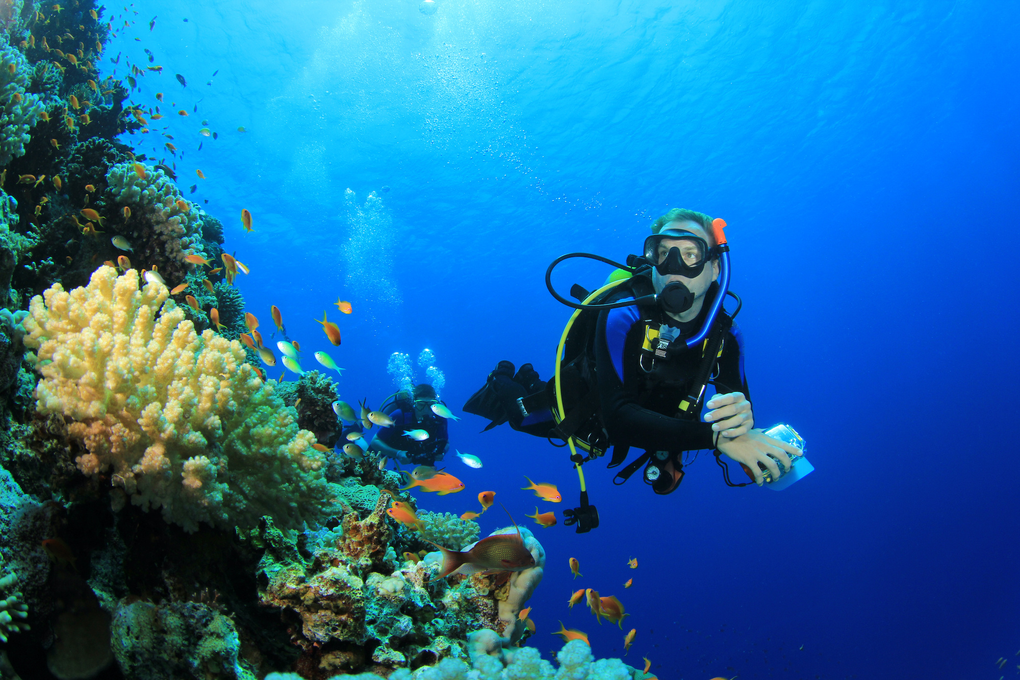 Scuba Diving: A diver explores an amazing coral reef, Recreational water sports activity. 2000x1340 HD Background.