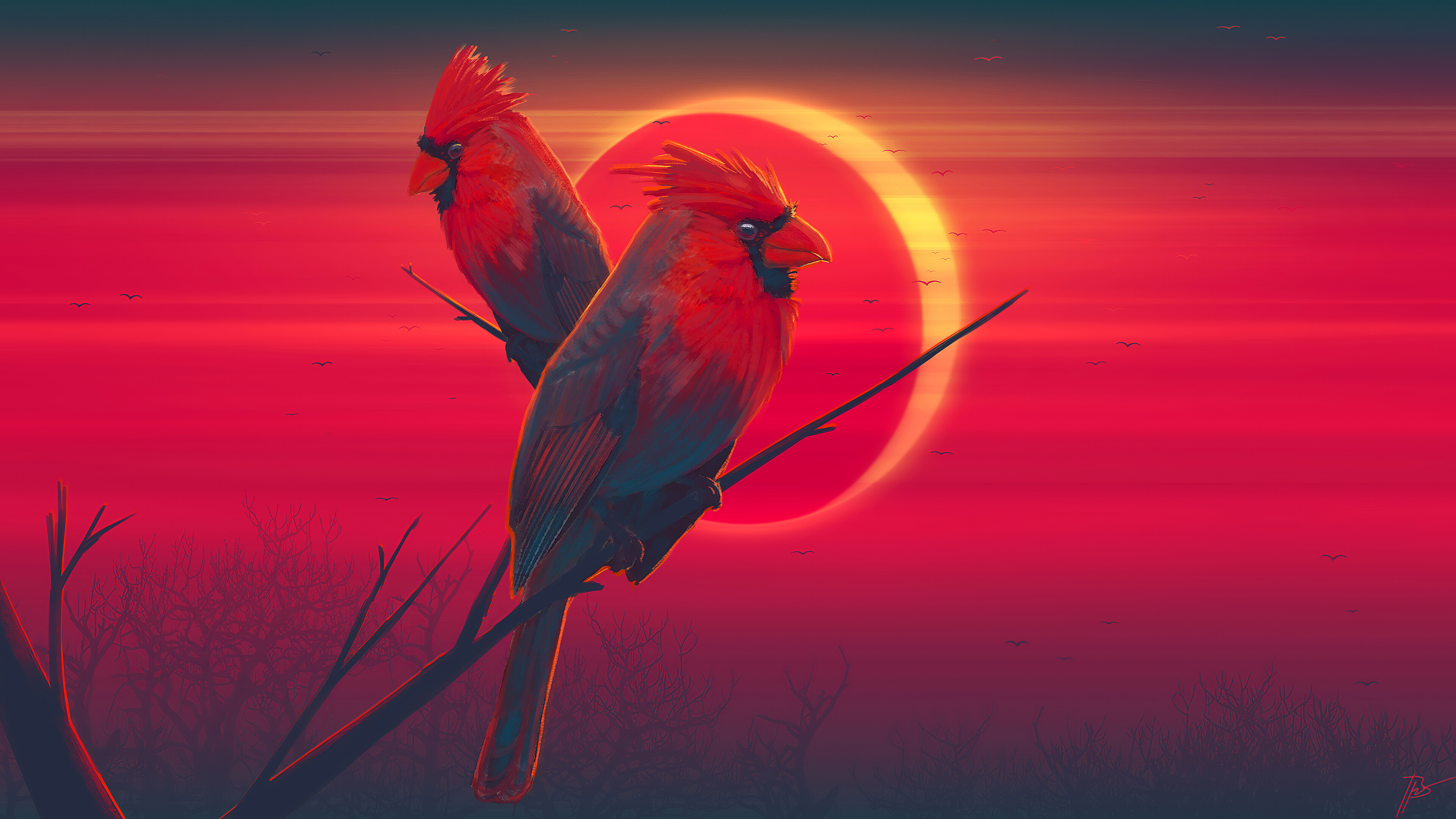 Bird: Northern cardinal, The genus Cardinalis, Redbird. 3840x2160 4K Background.