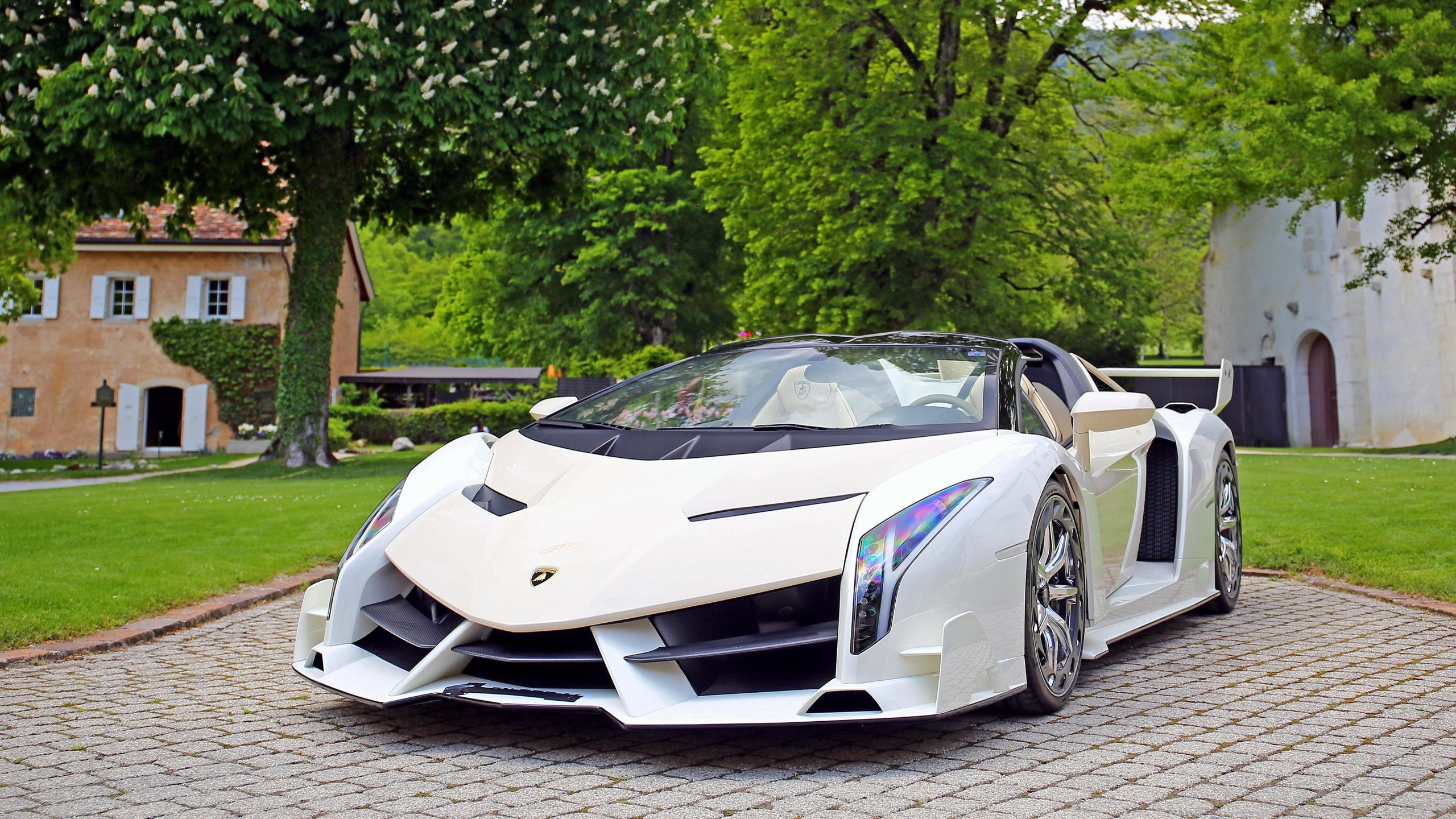 2014 Lamborghini Veneno, Roadster perfection, Rare beauty, Unforgettable experience, 2560x1440 HD Desktop