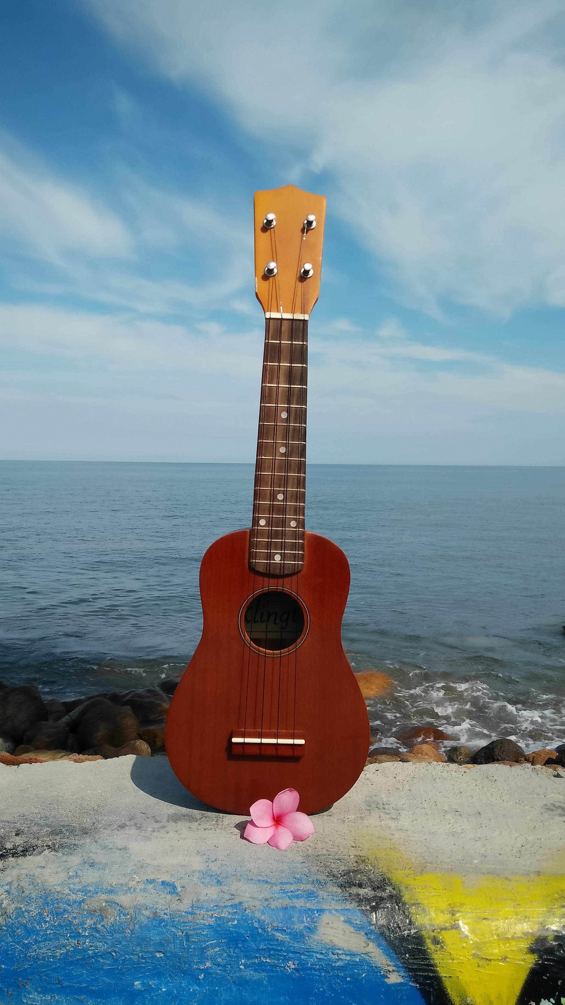 Ukulele: Hawaiian style musical instrument, Commonly come in four sizes: soprano, concert, tenor, and baritone. 2160x3840 4K Wallpaper.