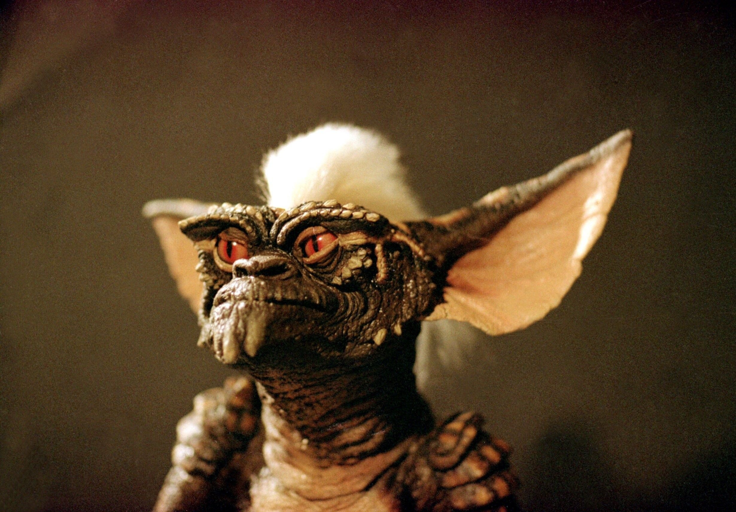 Gremlin: Giz, An adorable, very kind Mogwai who is part of Billy Peltzer’s life. 2460x1720 HD Wallpaper.