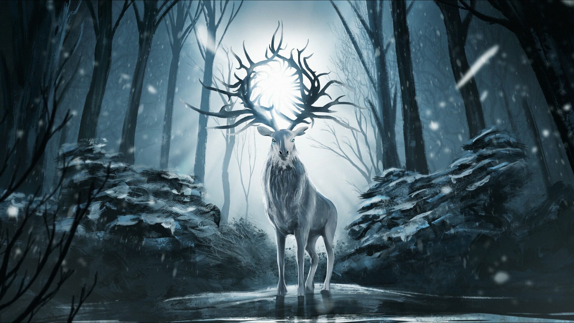 Shadow and Bone: The second season will adapt Siege and Storm (2013). 1920x1080 Full HD Background.