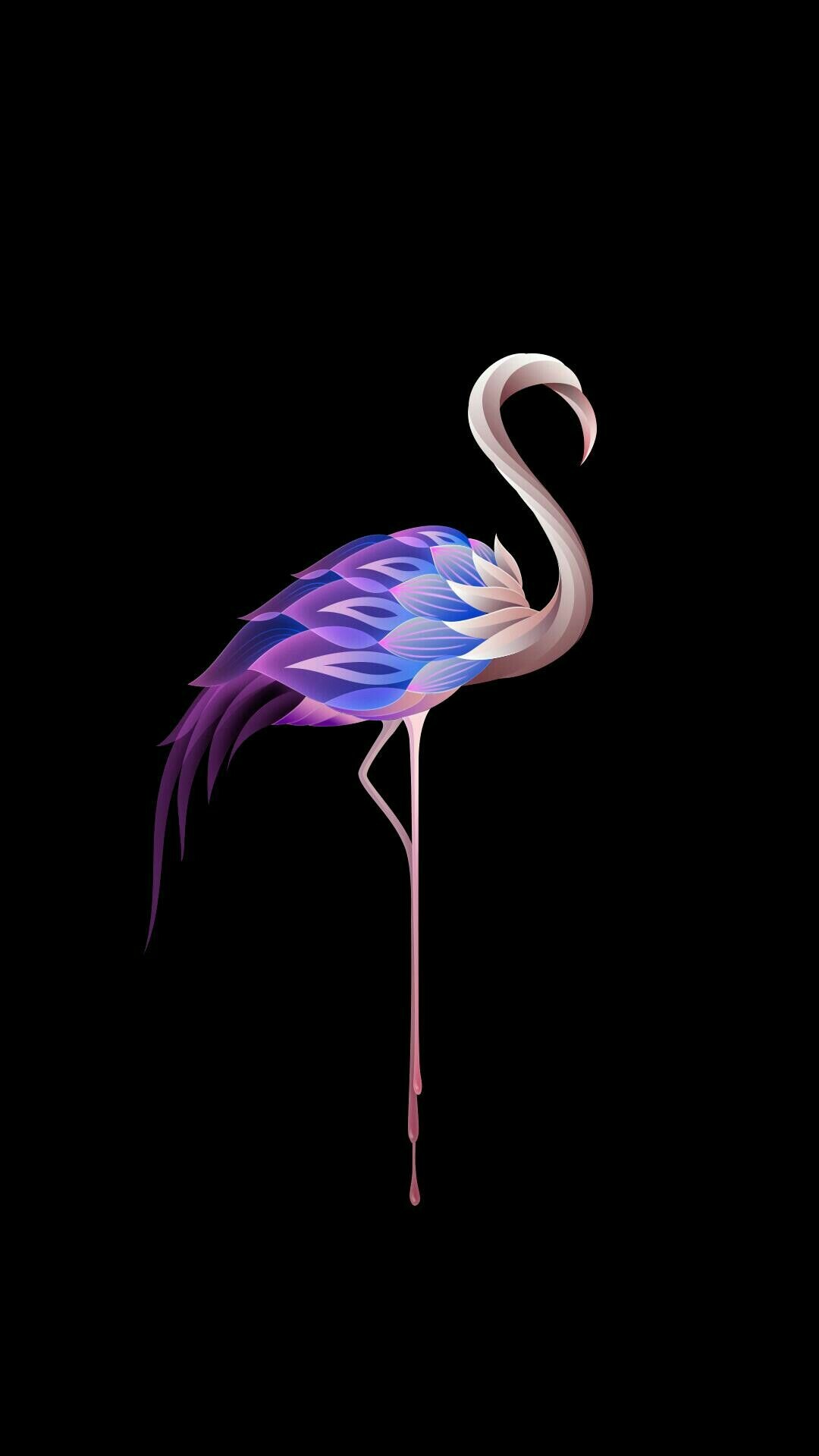 Flamingo: Bird, Belong to the Phoenicopteridae family. 1080x1920 Full HD Wallpaper.