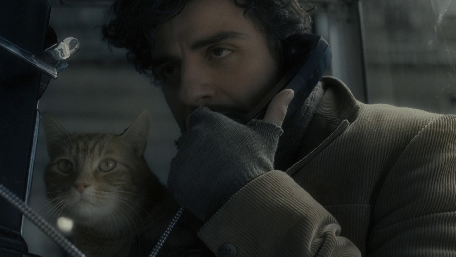 Inside Llewyn Davis, Critically acclaimed, Criterion Collection review, Redvdit, 1920x1080 Full HD Desktop