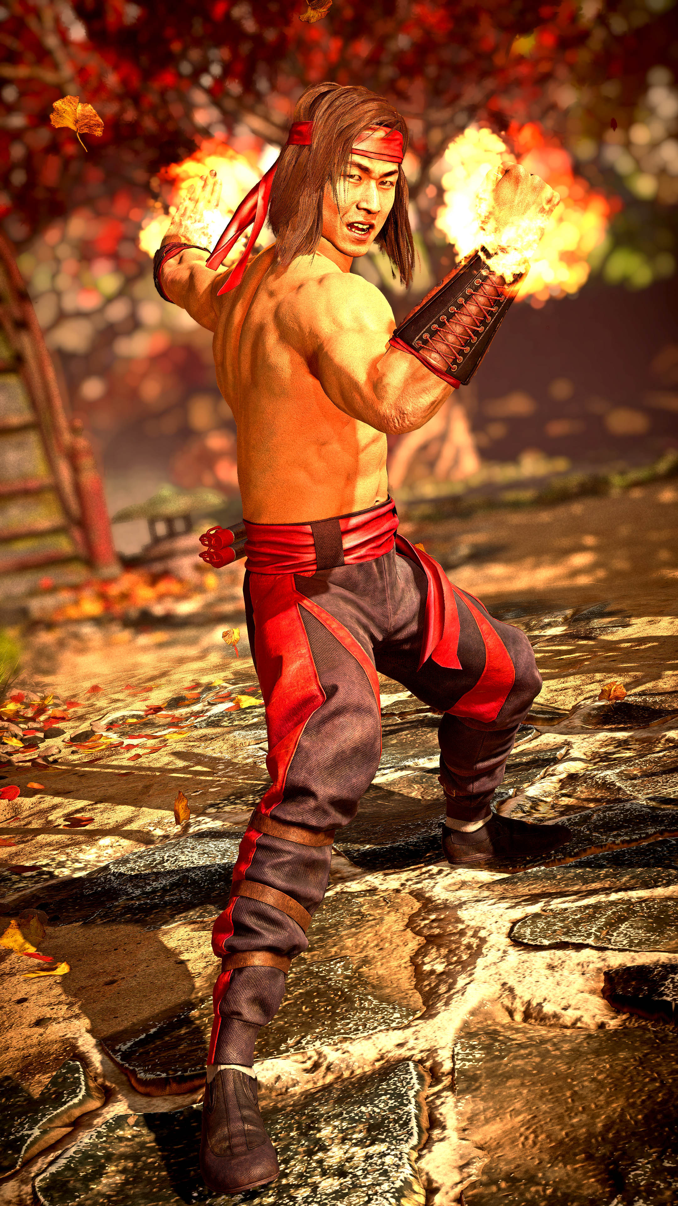 Liu Kang Young Justice, Reddit post, Comment search, Socialgrep, 2160x3840 4K Phone