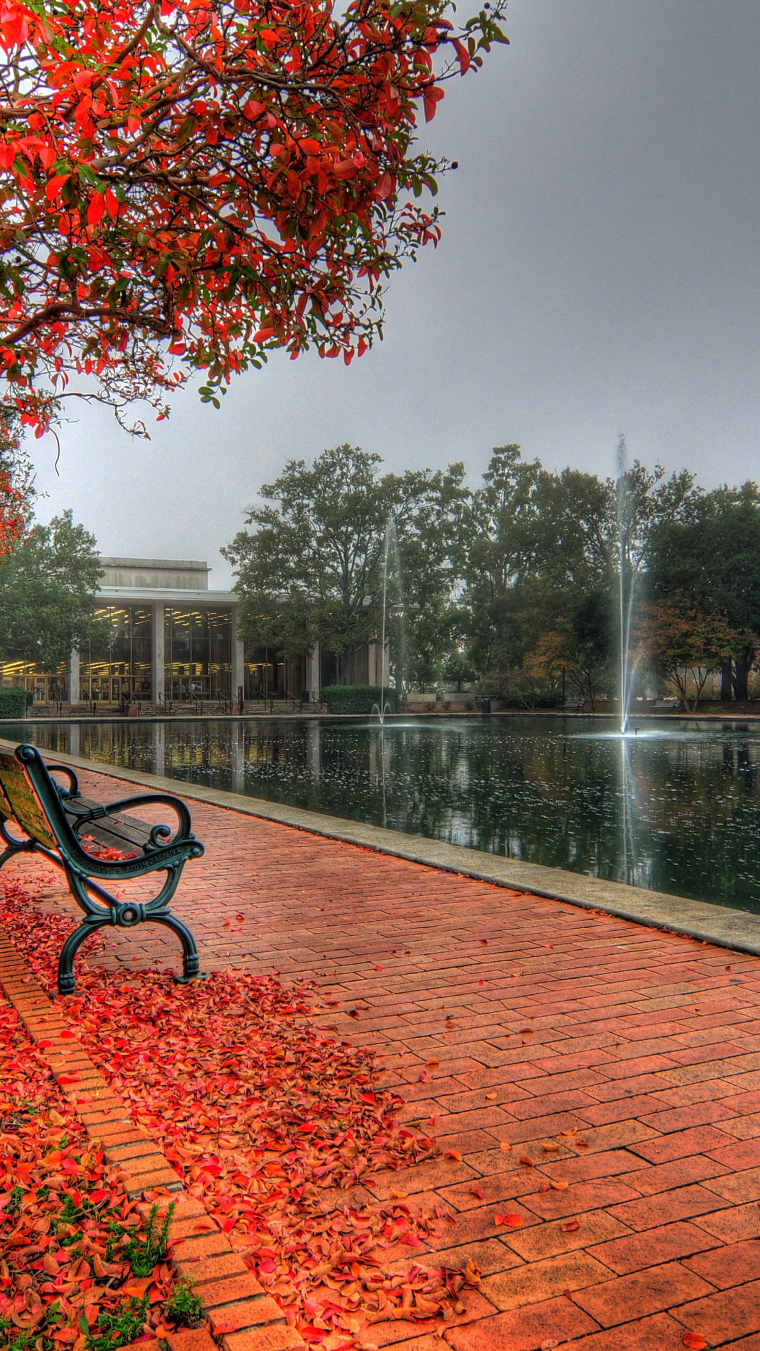 University of South Carolina campus, Autumn beauty, HDR photos, USC pride, 1080x1920 Full HD Phone