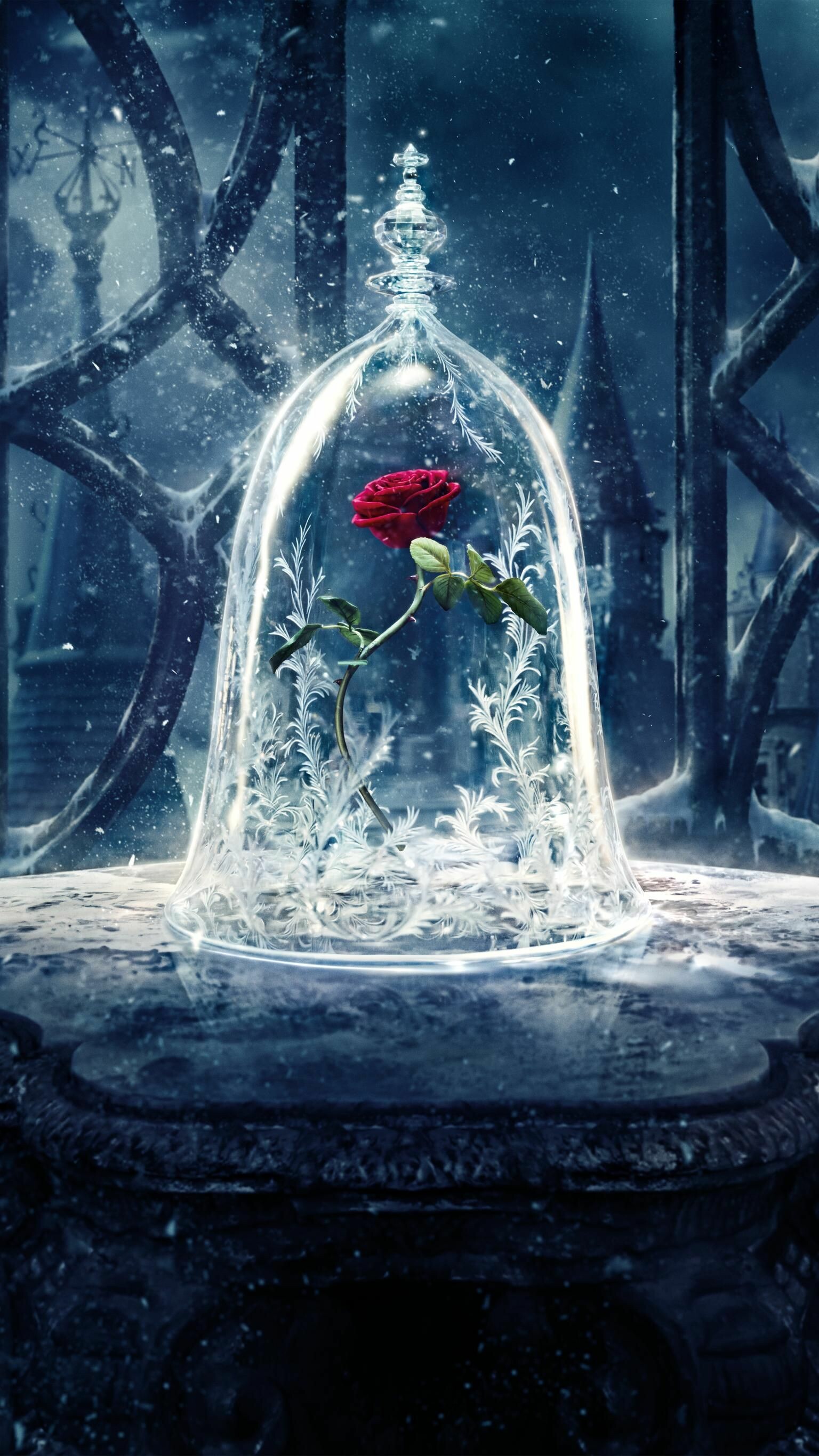 Beauty and the Beast: The Enchanted Rose, A mystical flower, The symbol of the film. 1540x2740 HD Wallpaper.