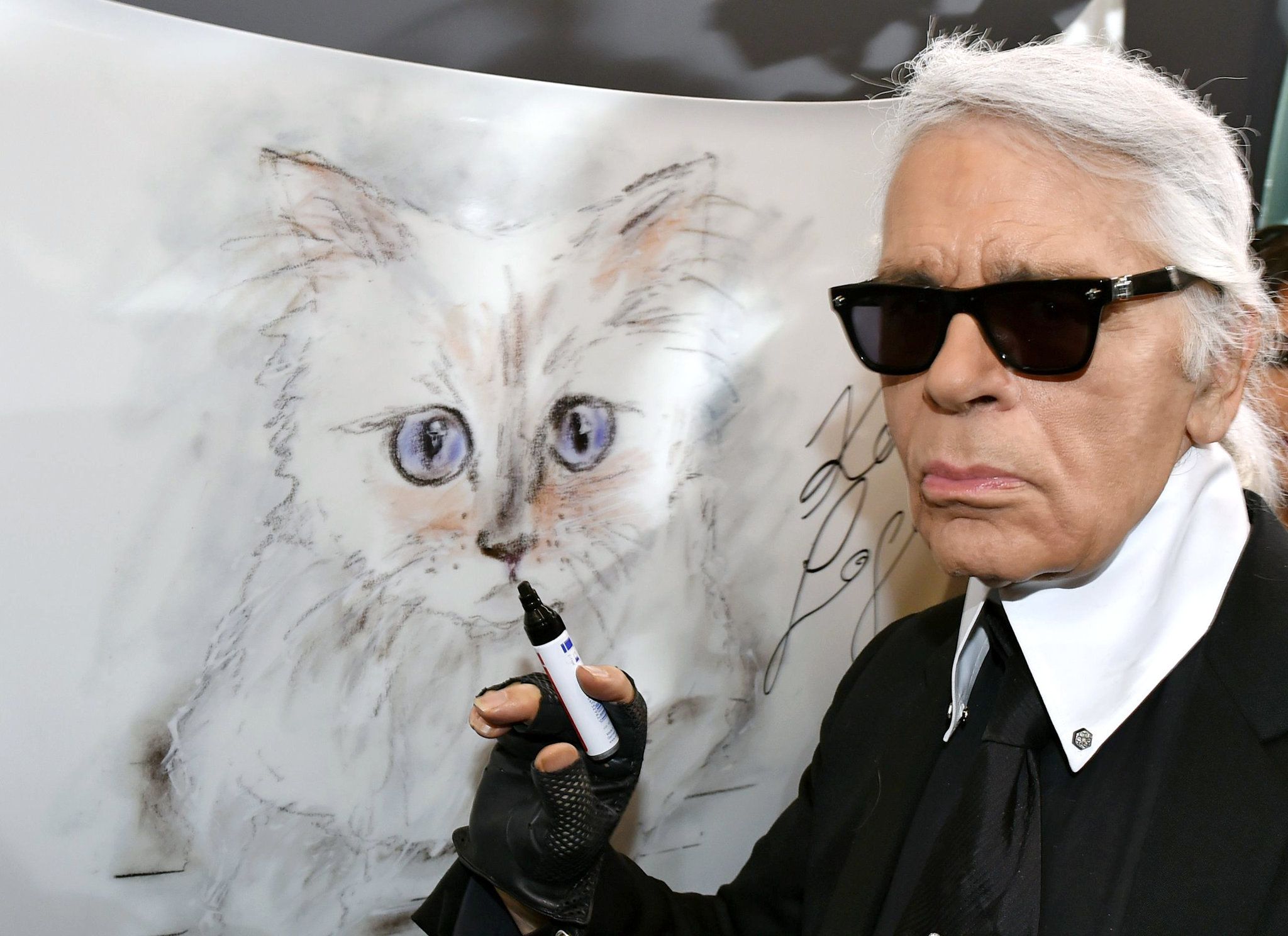 What happened to Choupette, The New York Times, 2050x1490 HD Desktop