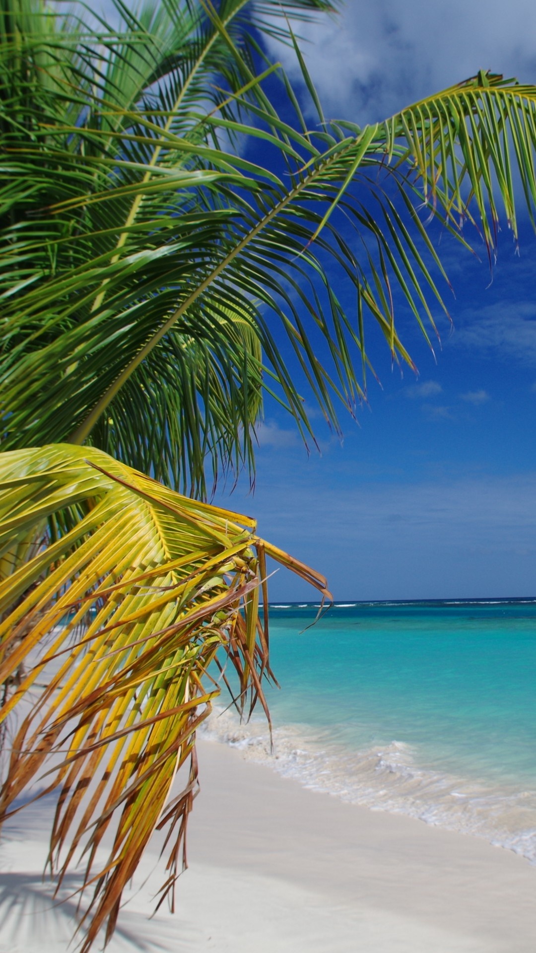 Flamenco beach culebra, Palms, 2016 travelers choice awards, 1080x1920 Full HD Phone