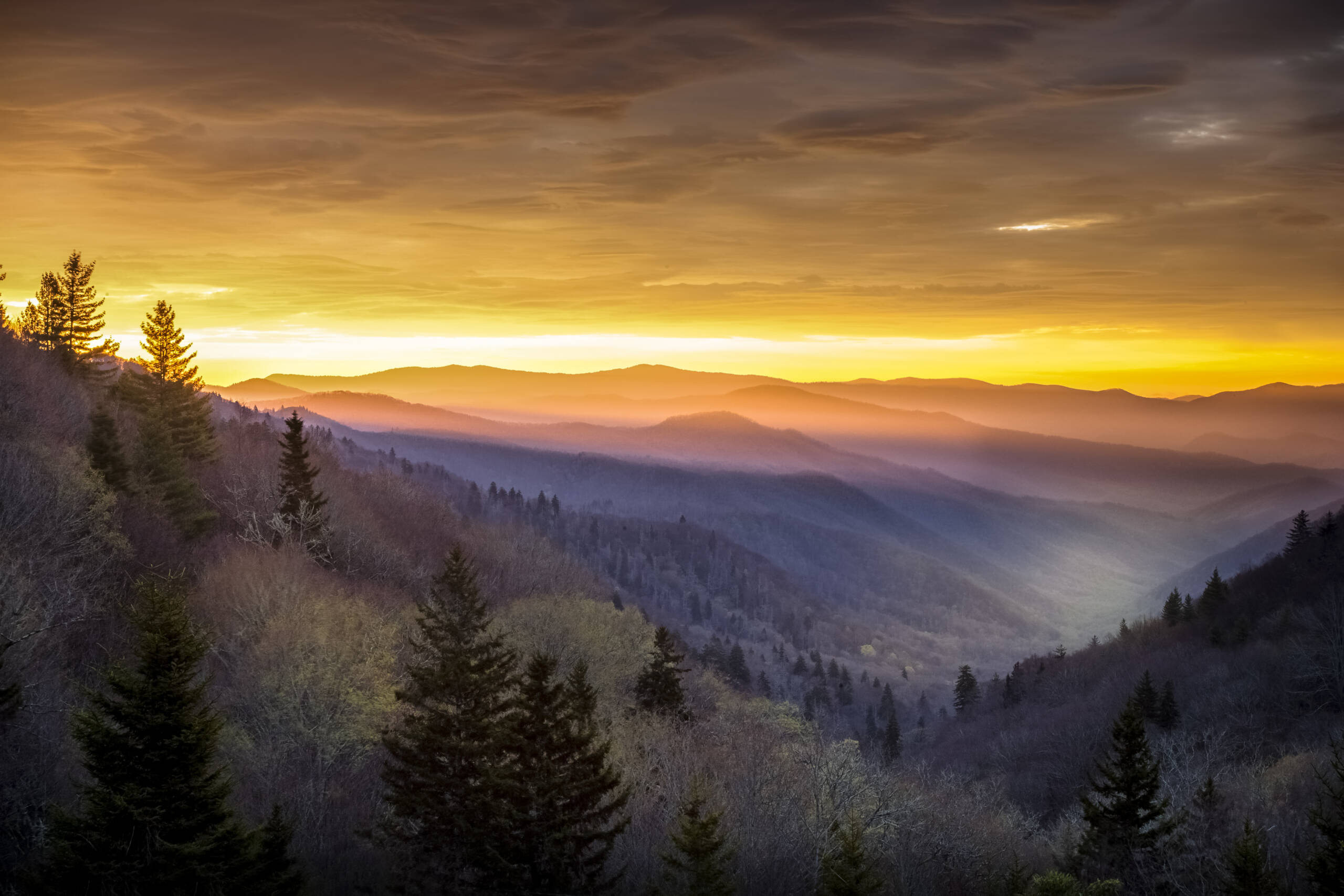Great Smoky Mountains National Park, Tennessee mountains, Autumn foliage, Natural beauty, 2560x1710 HD Desktop