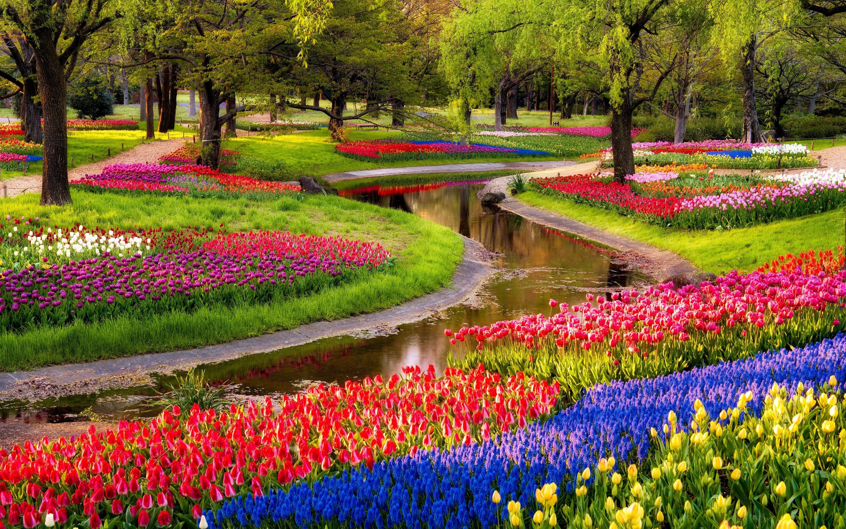 Flower Garden, Autumn blooms, Vibrant colors, Fall foliage, 2880x1800 HD Desktop