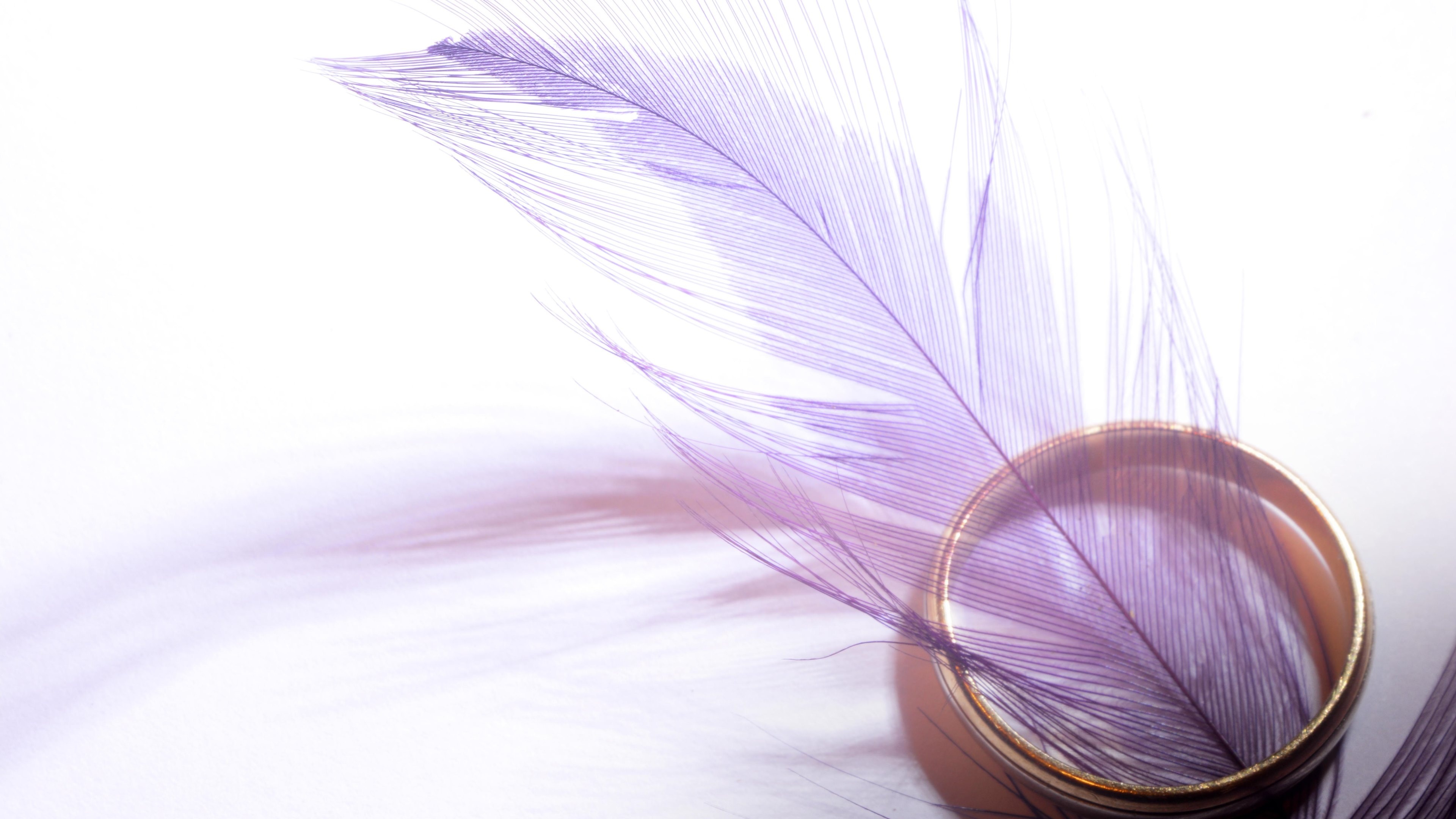 Feather: Fringed plumes that cover the bodies of birds. 3840x2160 4K Wallpaper.