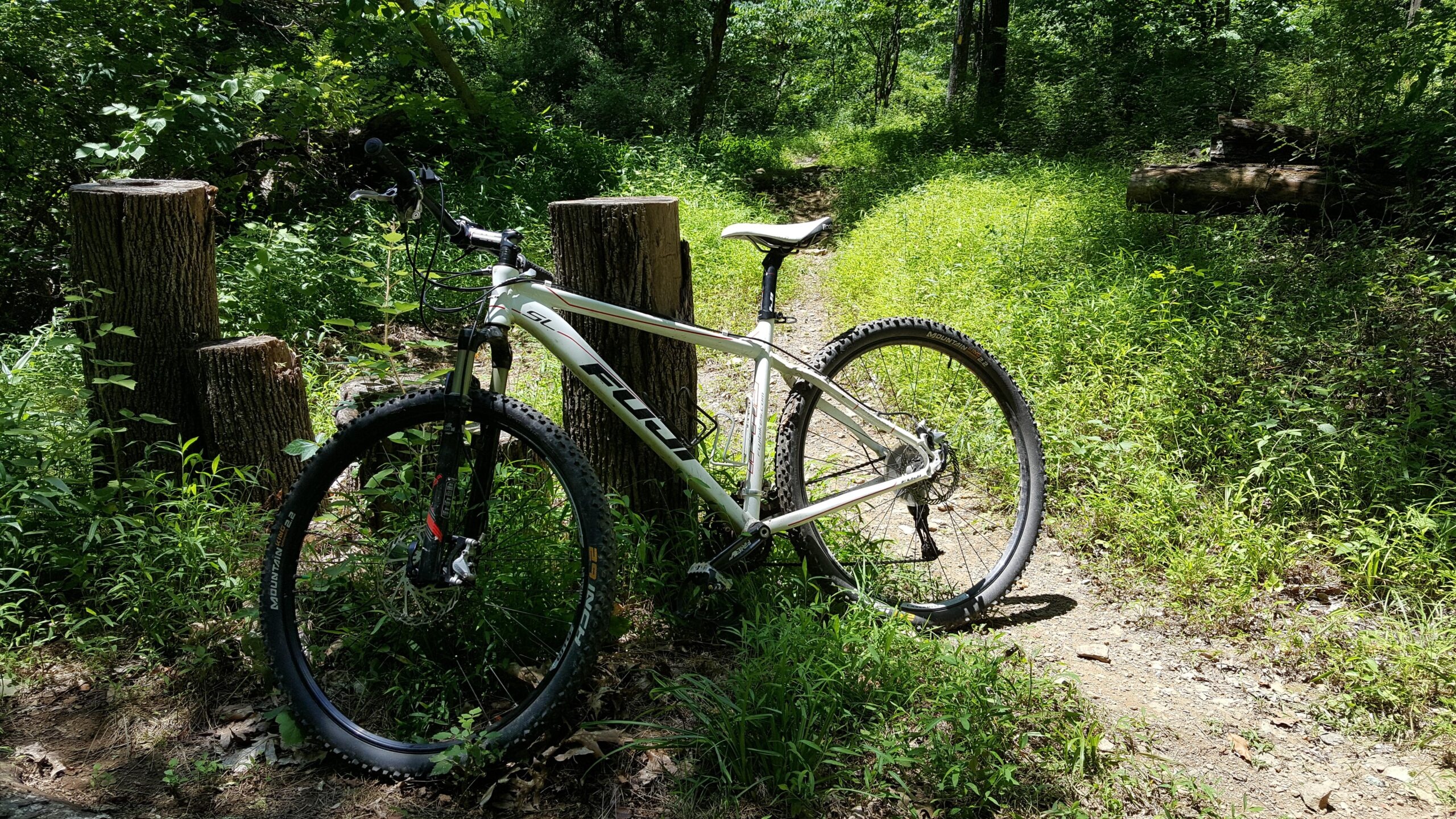 Fuji Bikes, Fuji Tahoe 29 SL, Sports, Trail riding, 2560x1440 HD Desktop