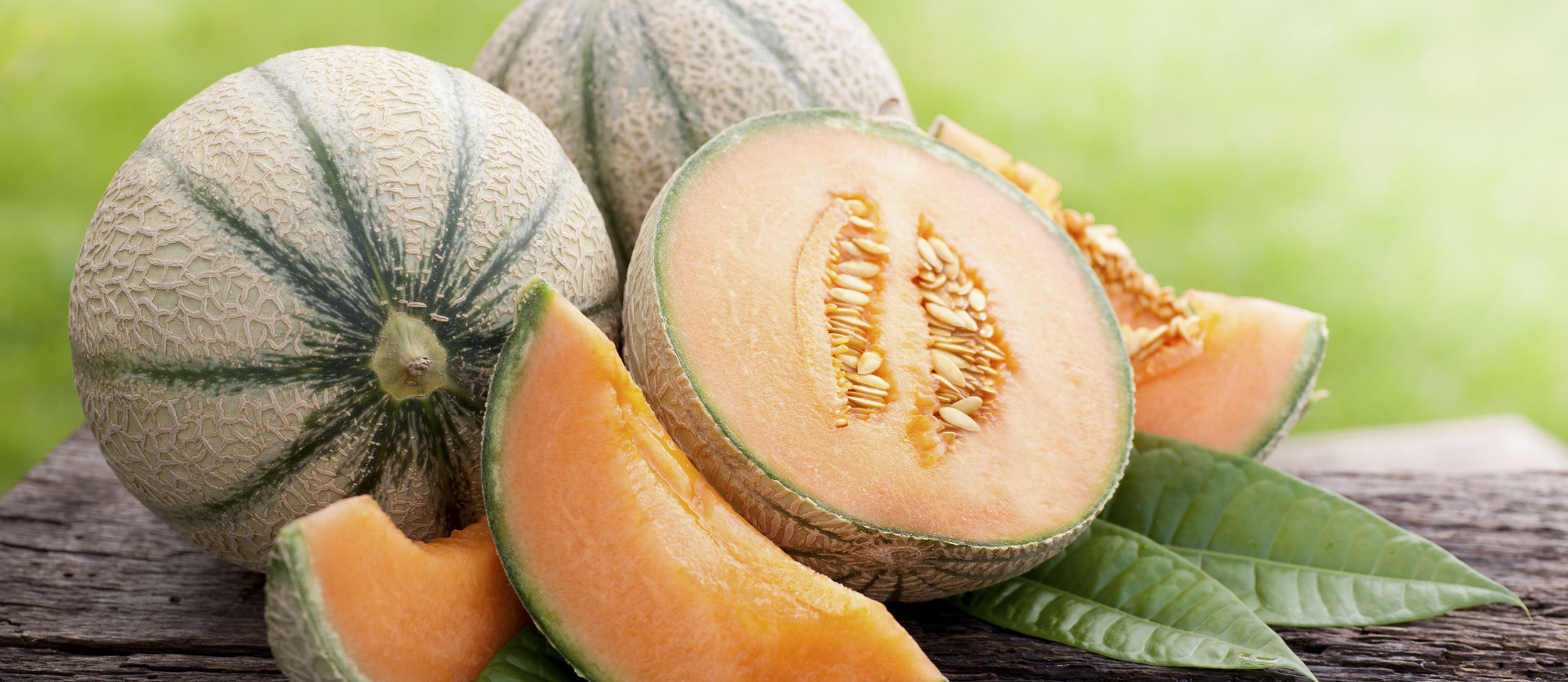 Melon: European cantaloupe, Domesticated in the 18th century, in Cantalupo in Sabina, Italy. 2500x1090 Dual Screen Wallpaper.