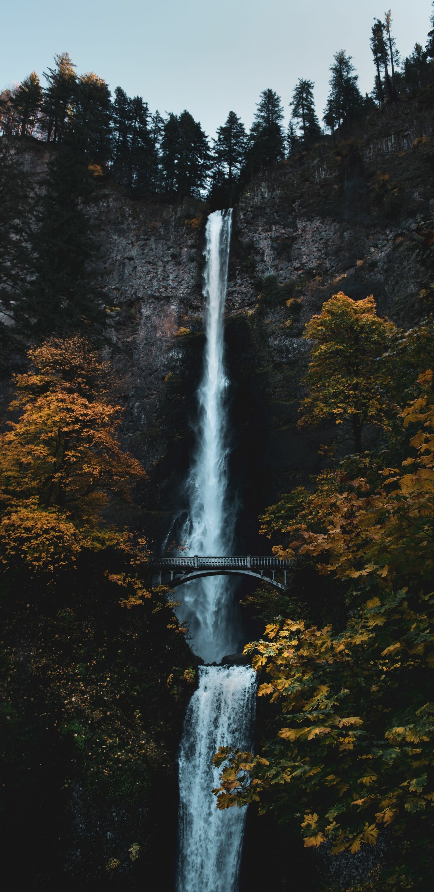 Waterfall: Multnomah Falls, Multnomah Creek, Columbia River Gorge. 1440x2960 HD Wallpaper.