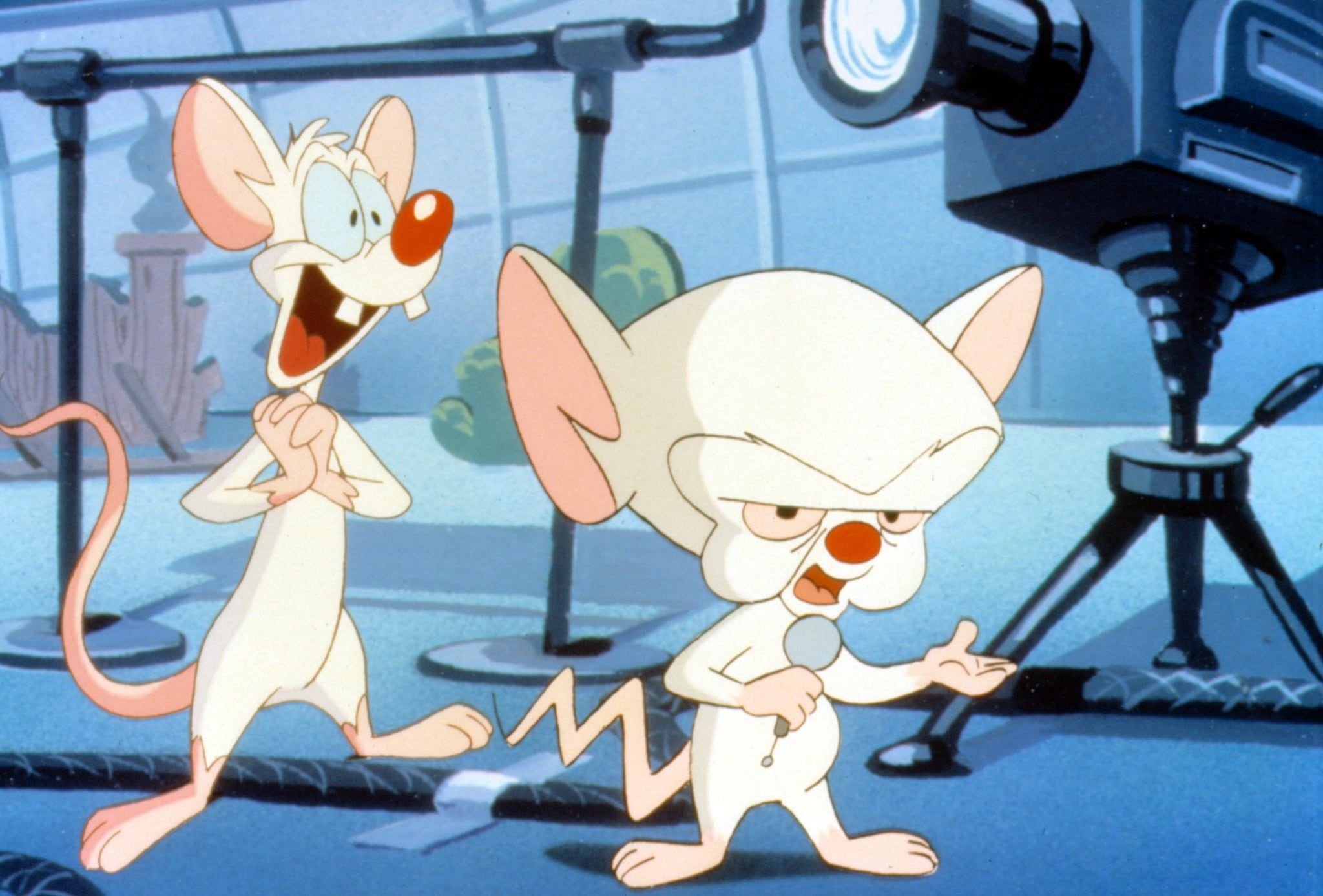 Pinky and the Brain, Animaniacs, Classic cartoon shows, Nostalgic animation, 2050x1390 HD Desktop