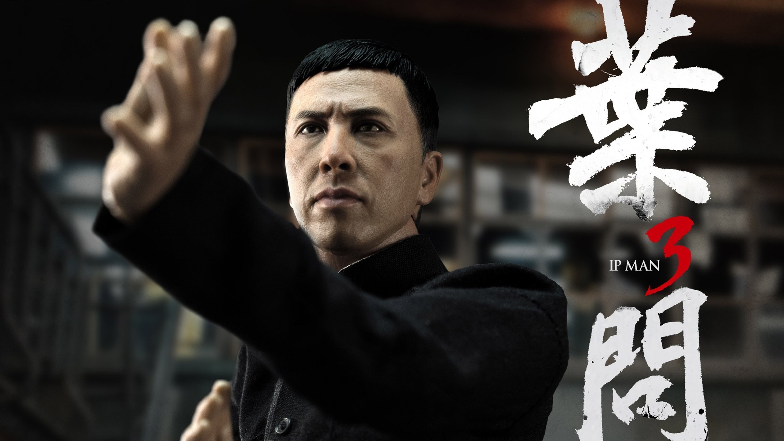 Donnie Yen, Cinema Fighter Man, Fight, Movie, 2560x1440 HD Desktop