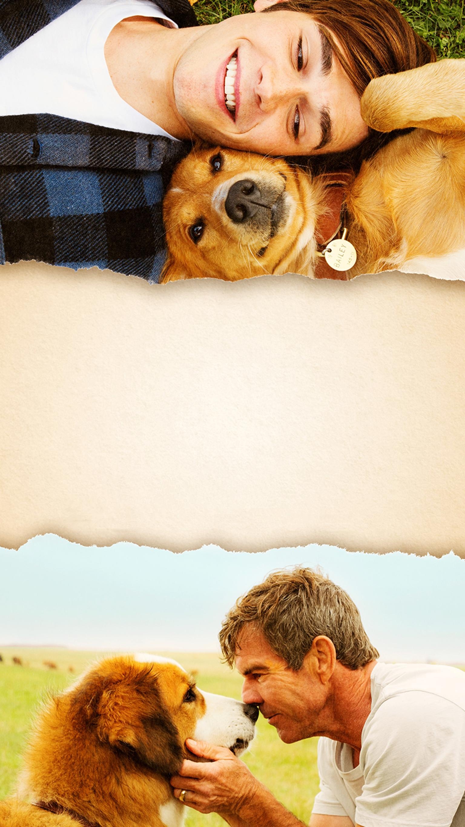 A Dog's Purpose, Top free, Backgrounds, Dogs and humans, 1540x2740 HD Phone