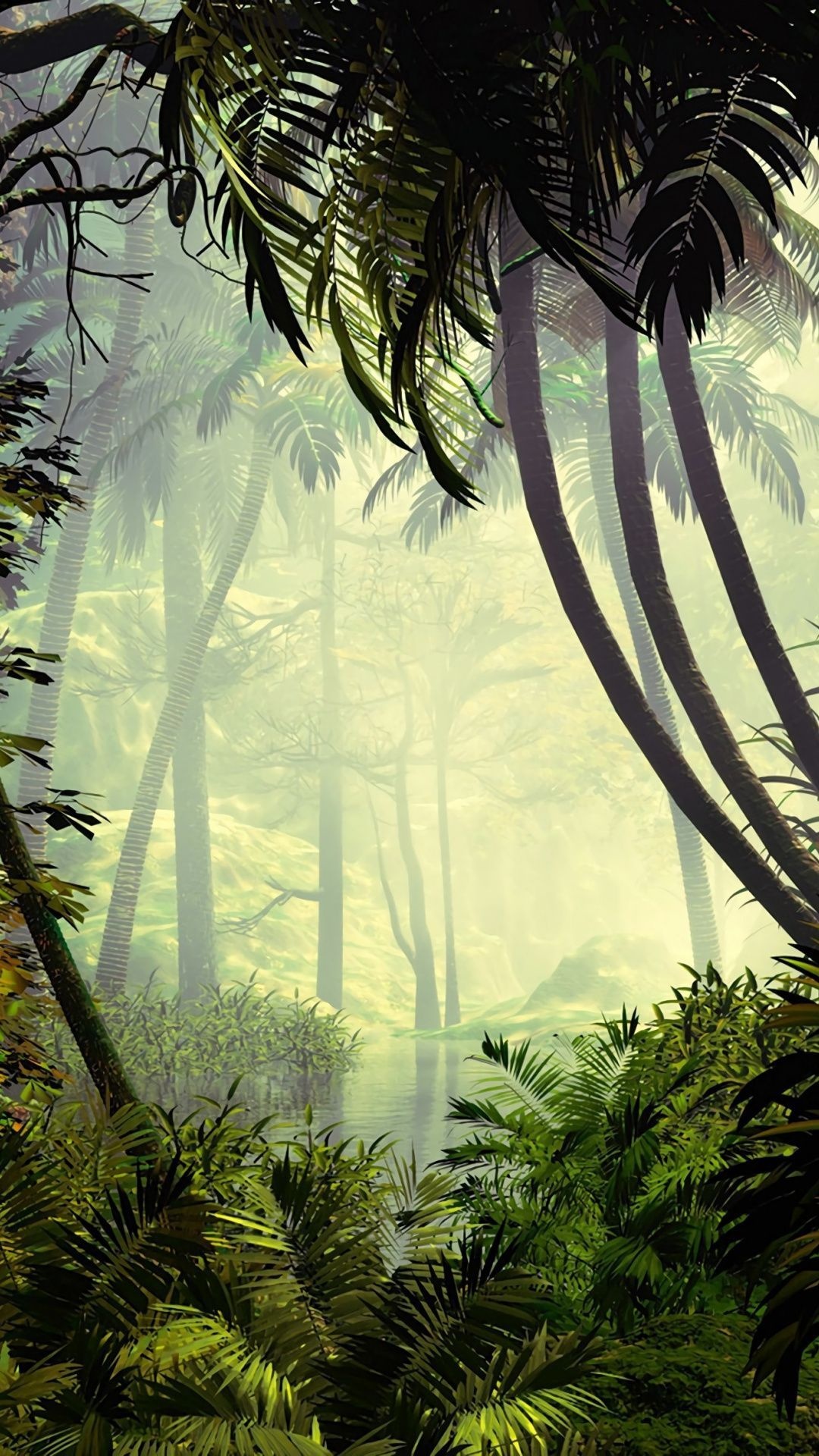Wunderschöne iPhone Wallpaper des Amazonas-Regenwaldes, 1080x1920 Full HD Handy