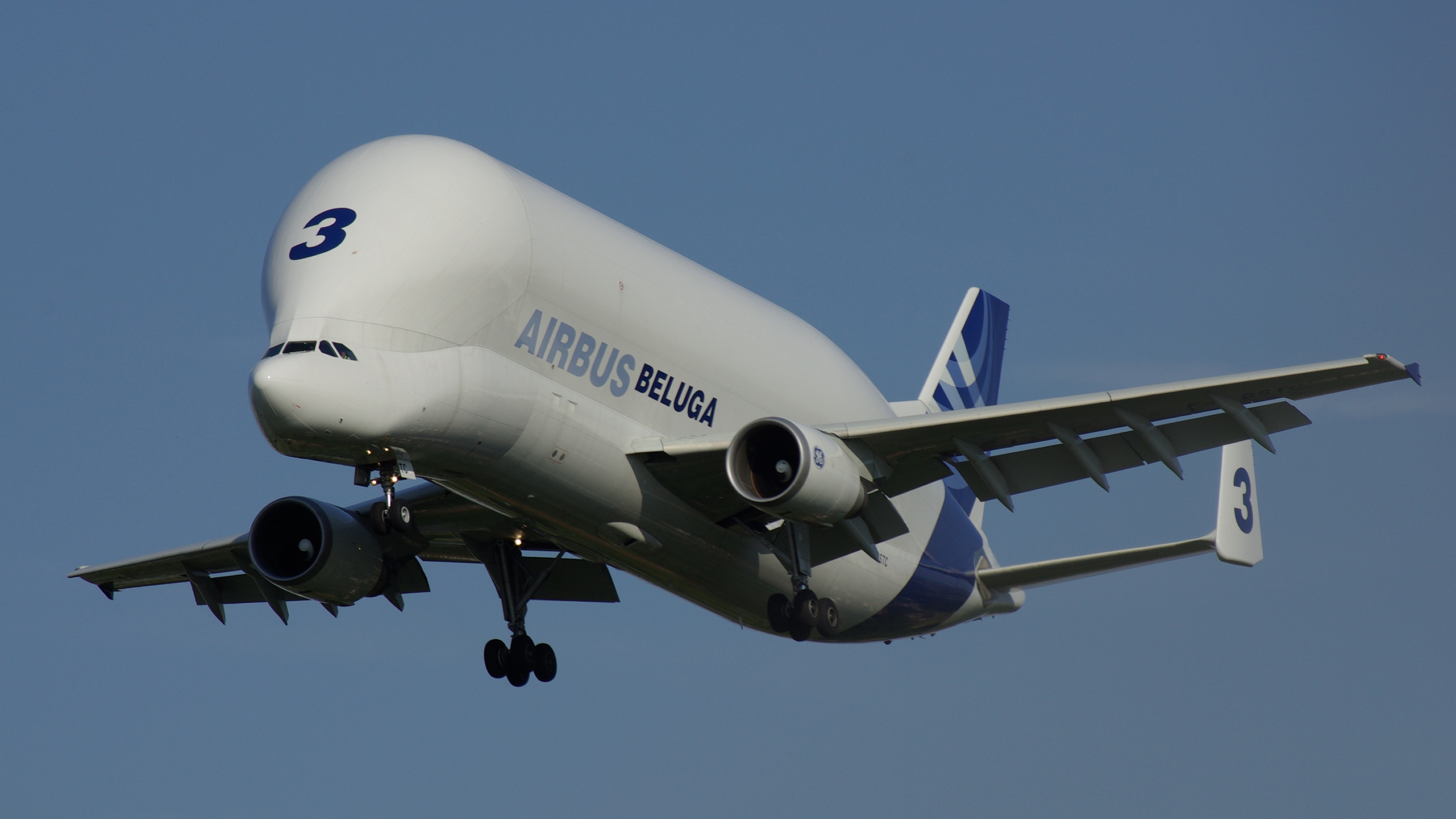 Airbus Beluga, Transport Aircraft, Unique Design, 3840x2160 4K Desktop