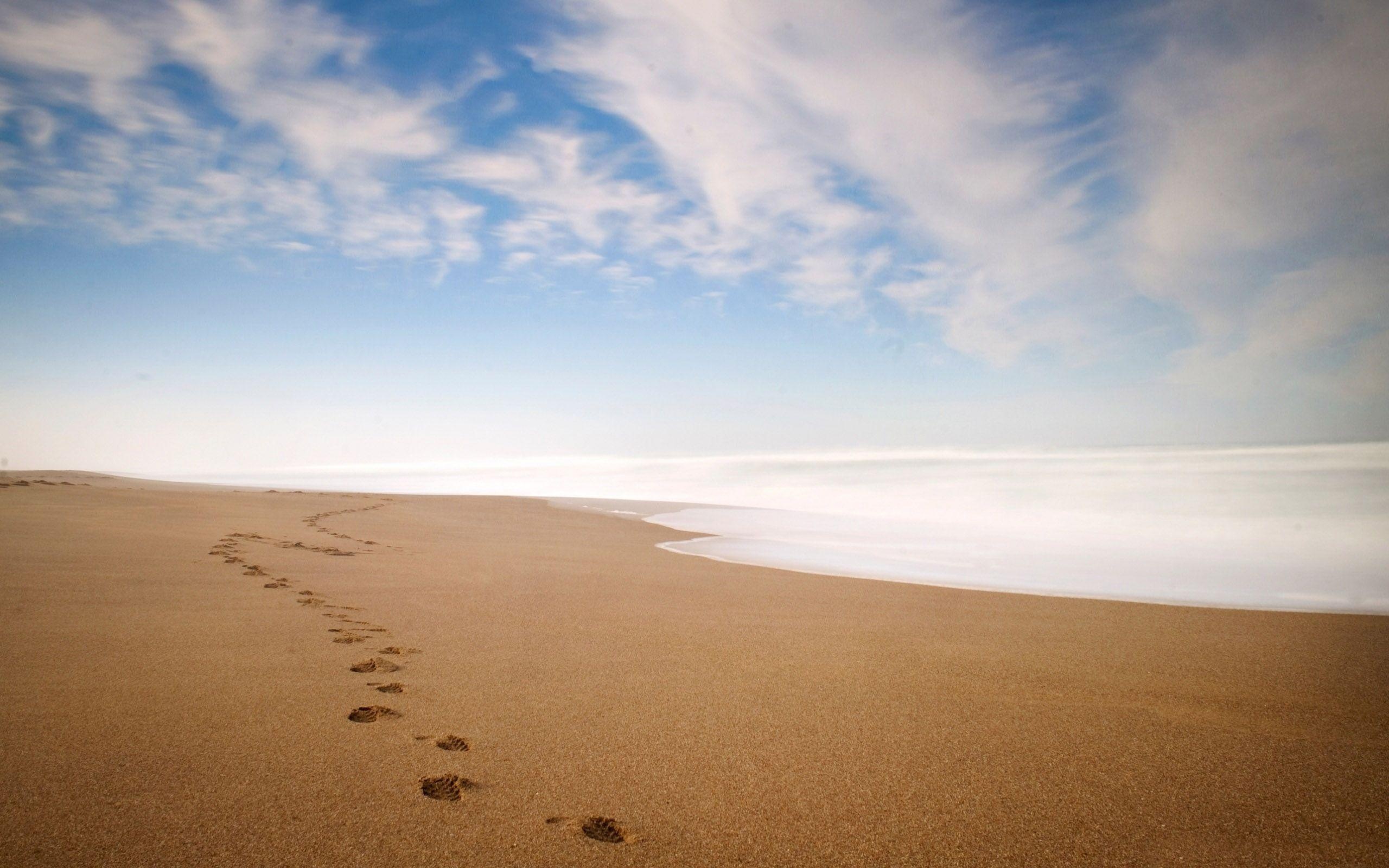 Footprints in the Sand Wallpapers, Sandy beach, 2560x1600 HD Desktop