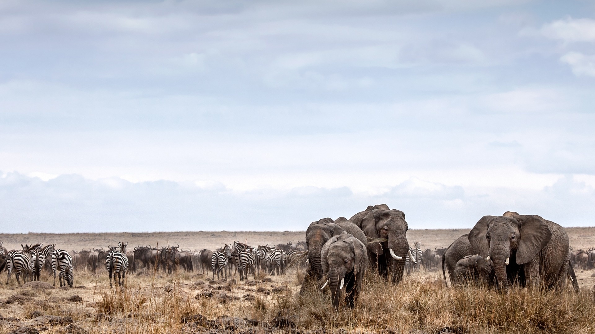 Masai Mara National Reserve, Top 10 activities, Luxury Kenya safari, Memorable experiences, 1920x1080 Full HD Desktop