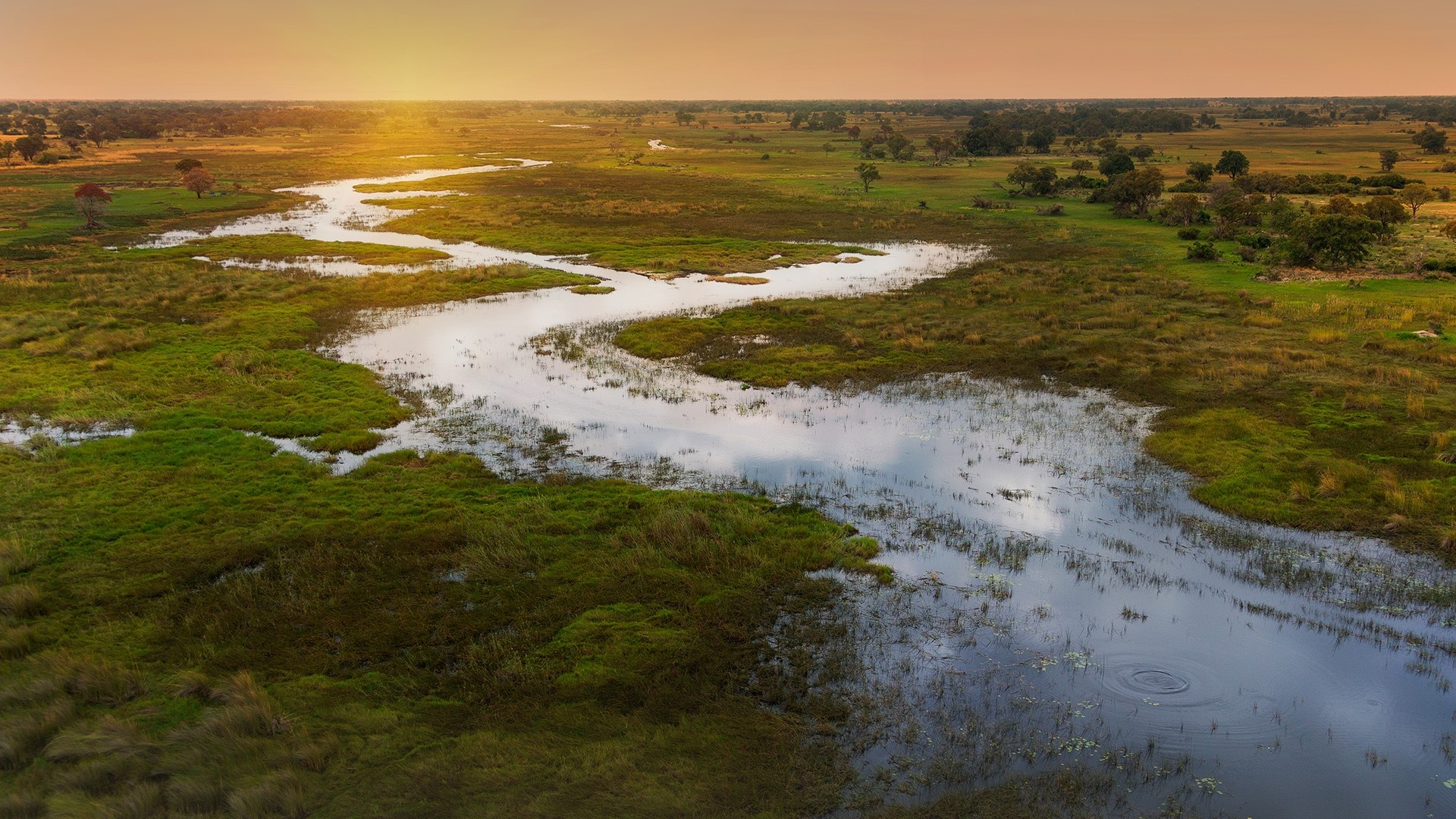 Okavango Delta sunset, Chobe National Park, African wilderness, Windows 10 spotlight, 1920x1080 Full HD Desktop