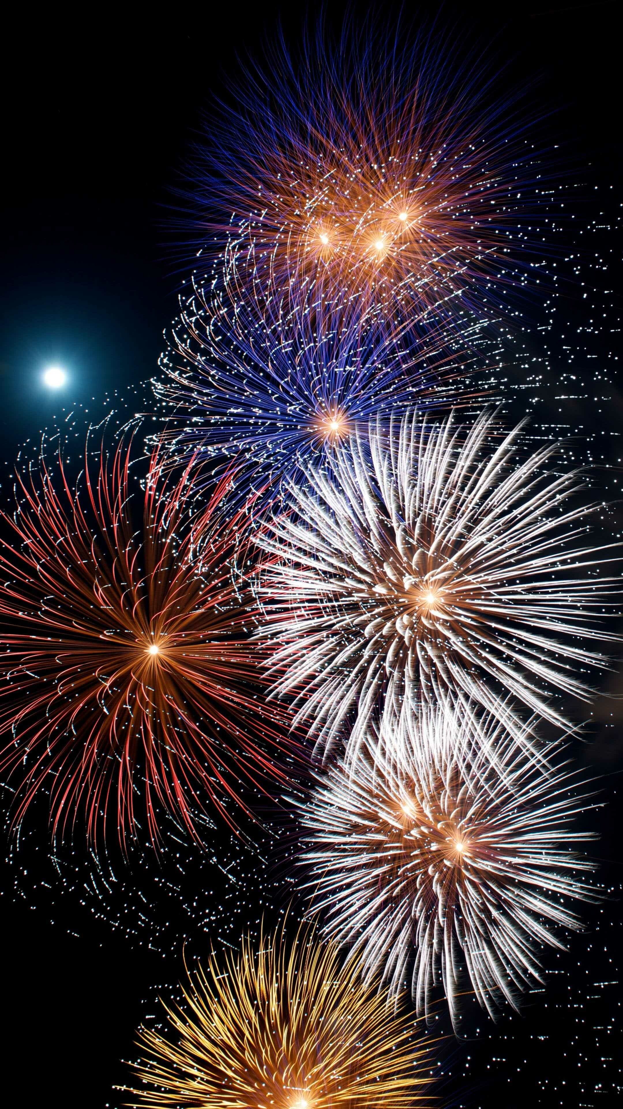 Firework: A skyrocket is a common form of pyrotechnics, Entertainment. 2160x3840 4K Wallpaper.