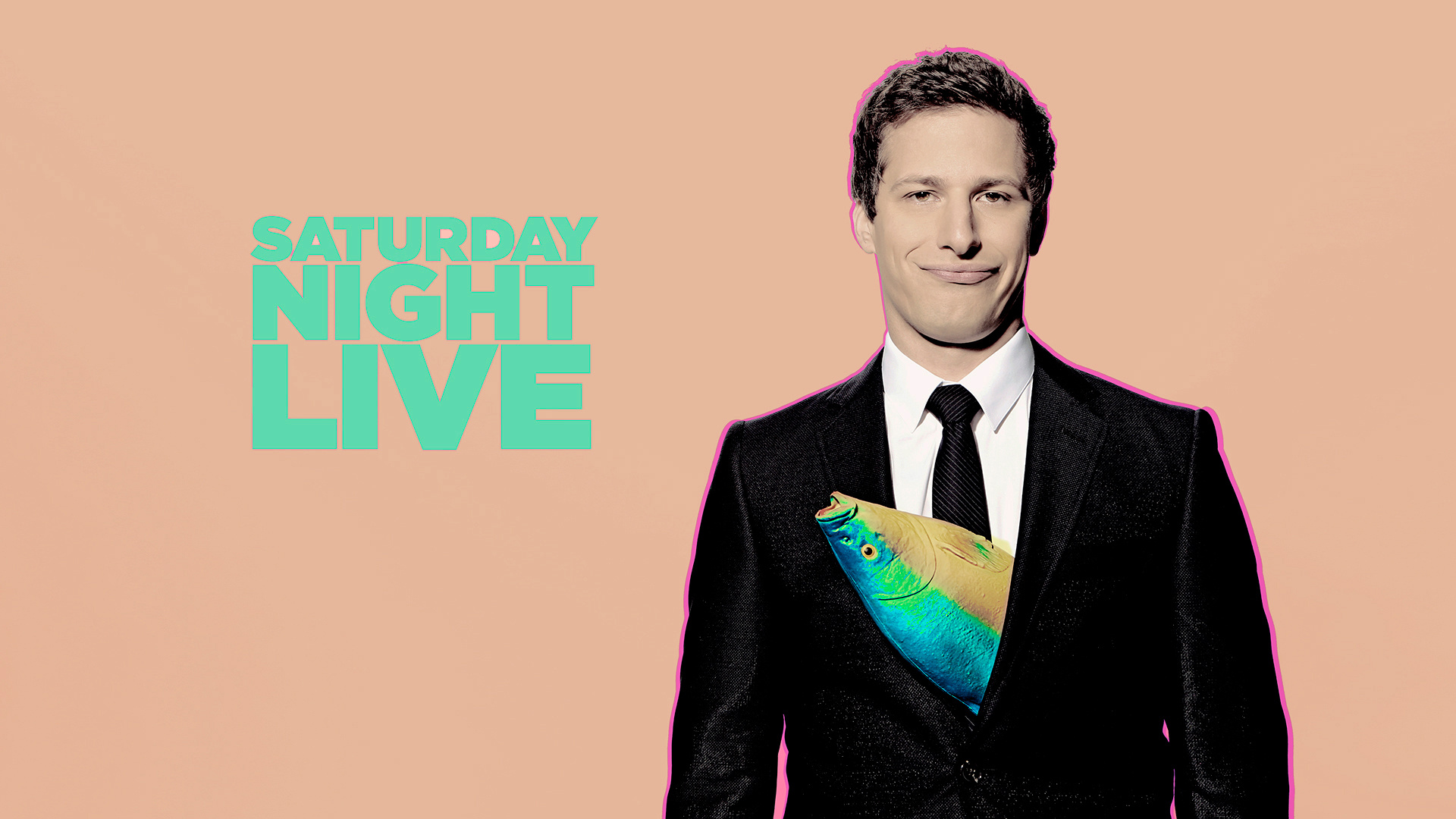 Saturday Night Live TV Series, Posted by Sarah Sellers, SNL background, 1920x1080 Full HD Desktop