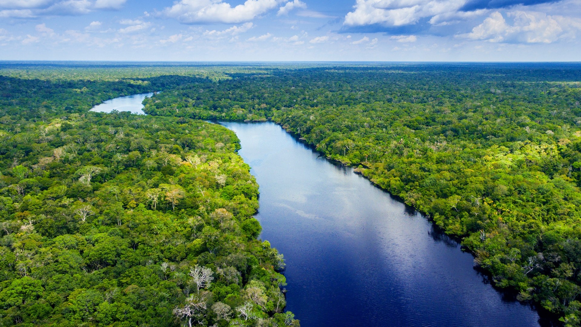 The Amazon River, Brazilian beauty, Stunning Windows 10 spotlight images, Nature's masterpiece, 1920x1080 Full HD Desktop