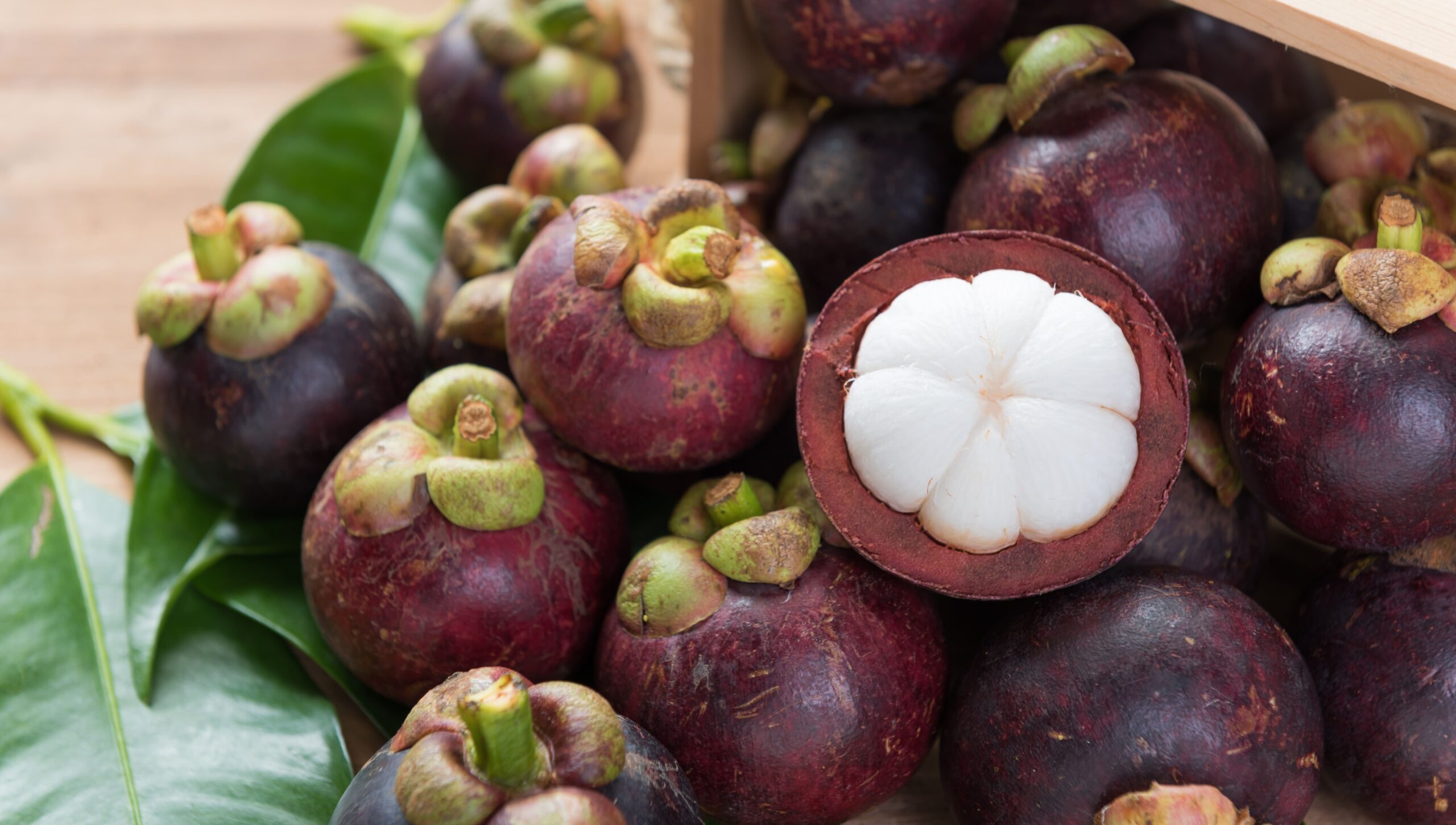 Mangosteen: A thick, hard, deep red rind surrounding snow-white flesh. 2560x1460 HD Background.