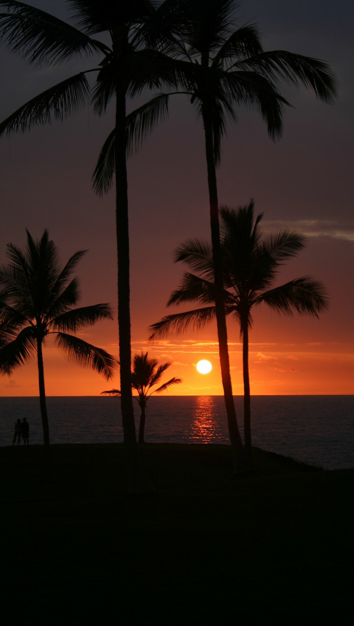 Sunset: The apparent descent of the sun below the horizon, Hawaii. 1160x2050 HD Background.
