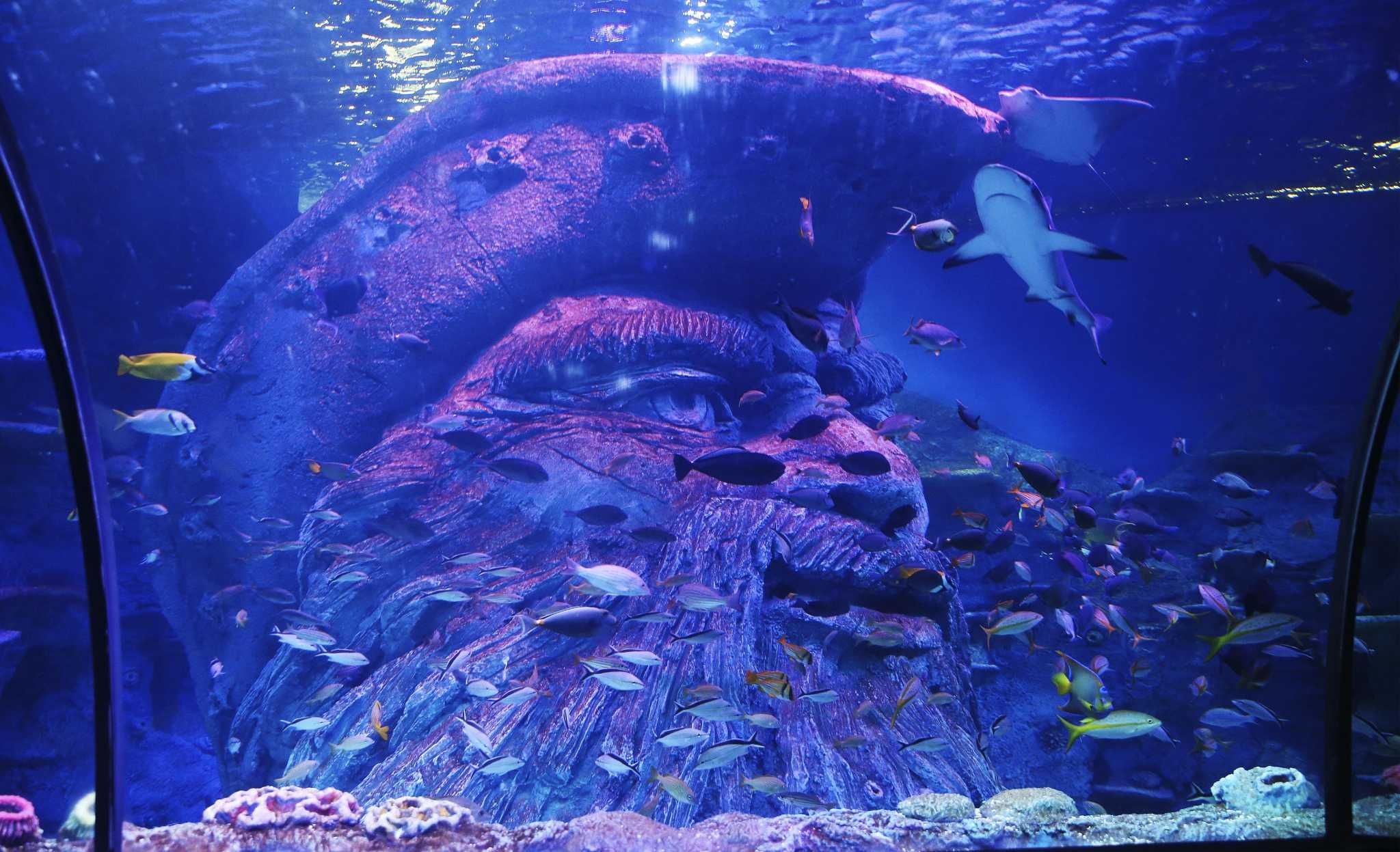 Aquarium, San Antonio, Aquarium city, Tourist destination, Aquatic attractions, 2050x1250 HD Desktop