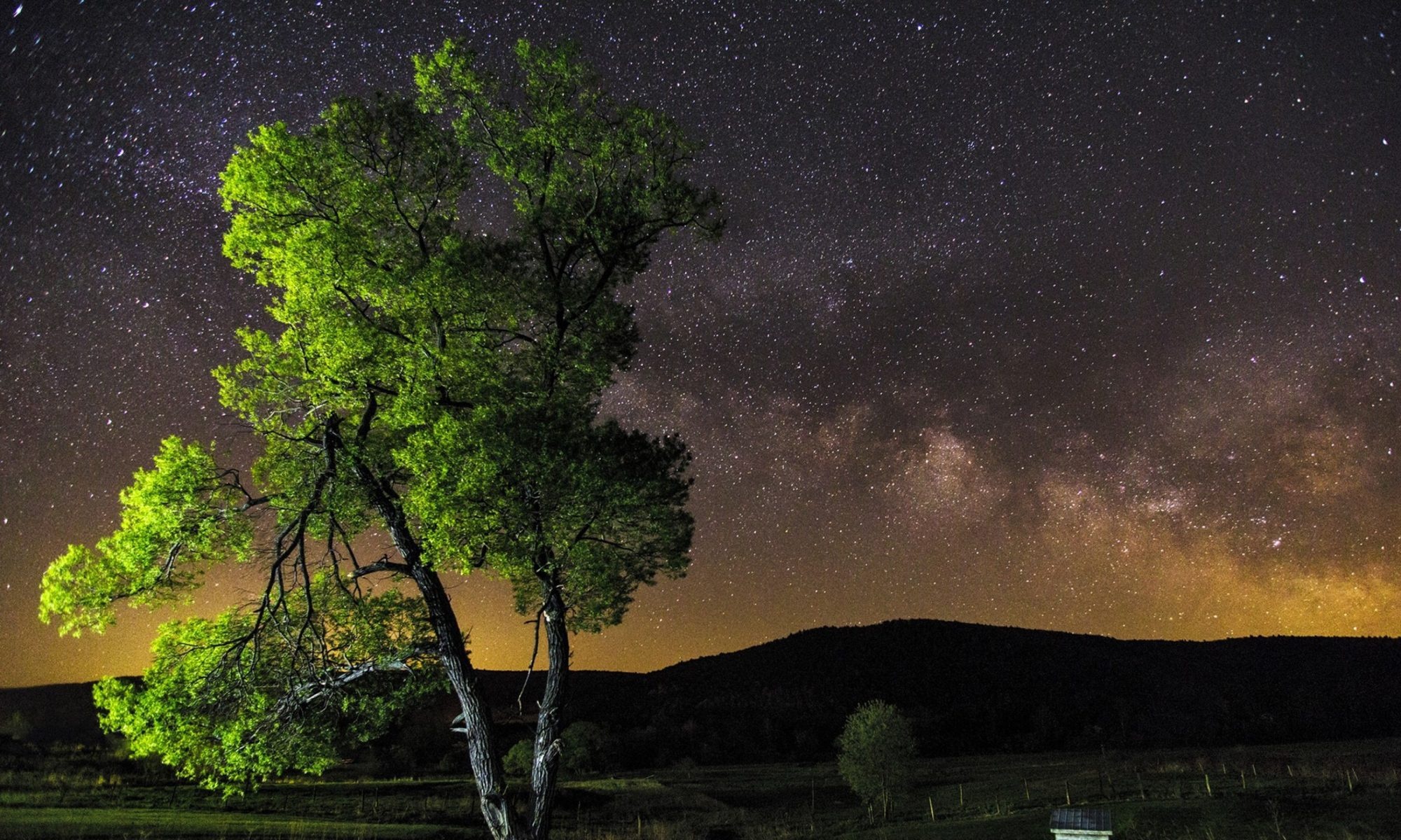 Night sky, Stars, Tree, 4K, 2000x1200 HD Desktop