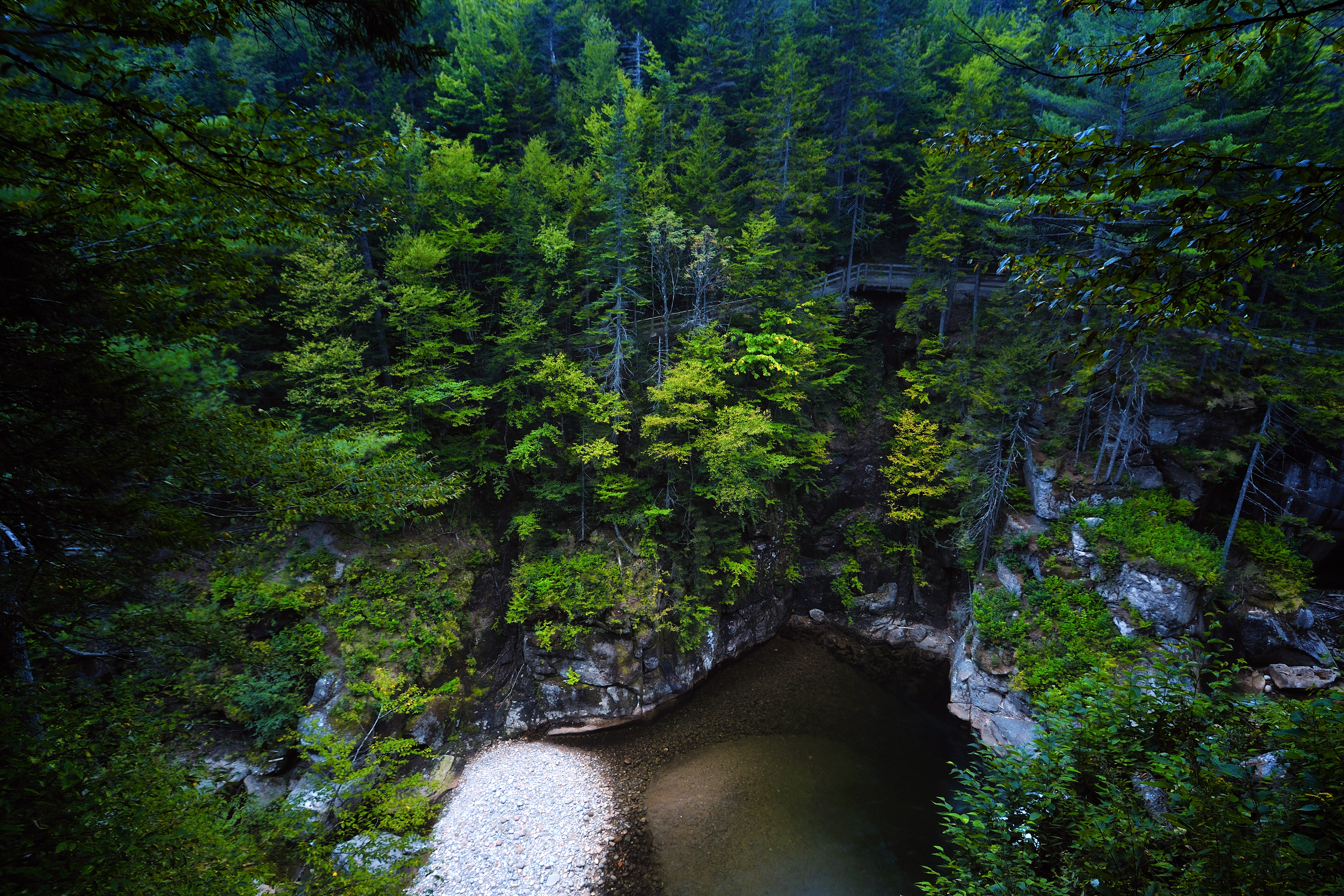 New Hampshire forest, HD wallpaper, Tranquil setting, 3000x2000 HD Desktop