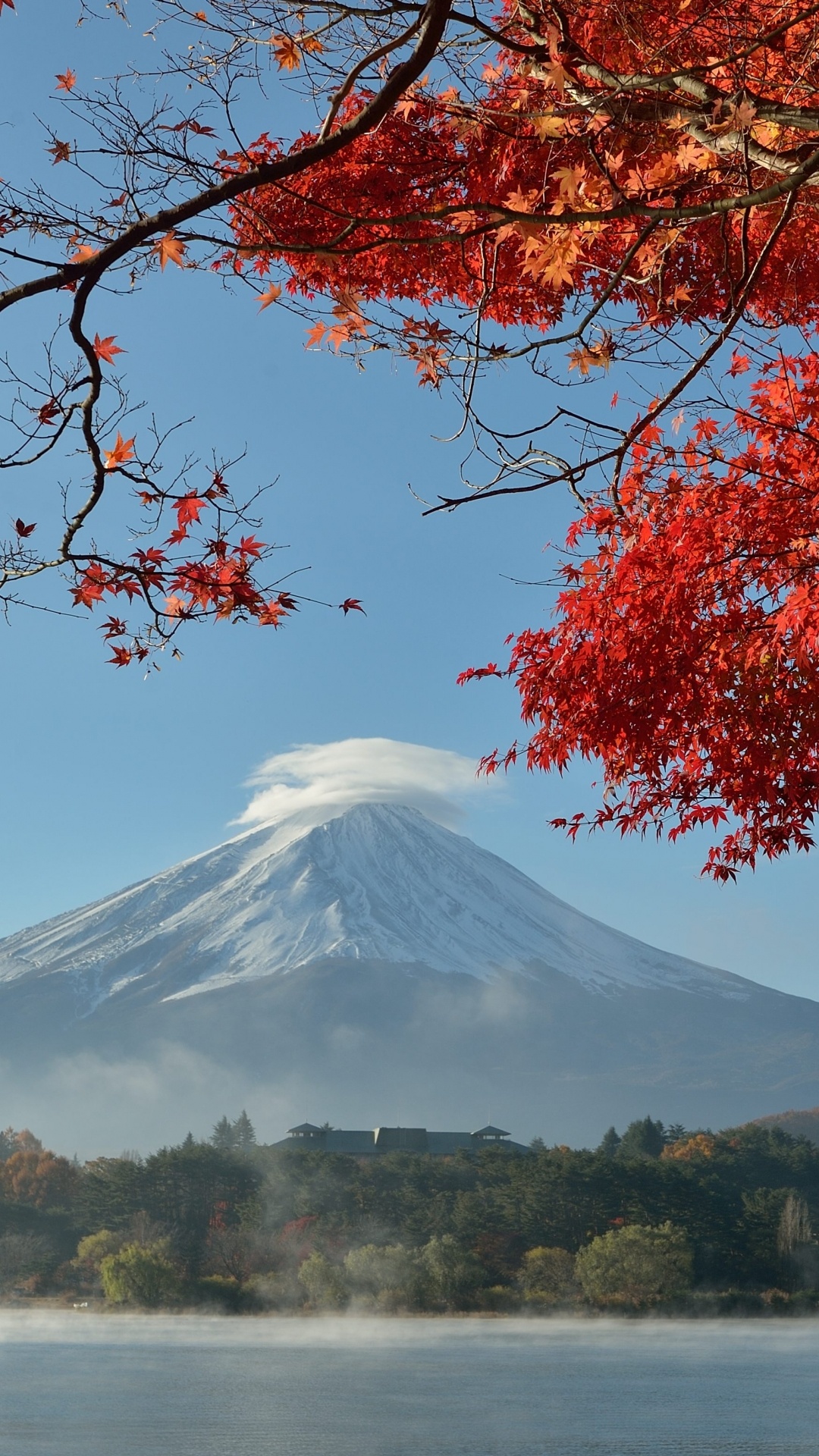Mount Fuji, Japan, Earth, Travels, 1080x1920 Full HD Phone