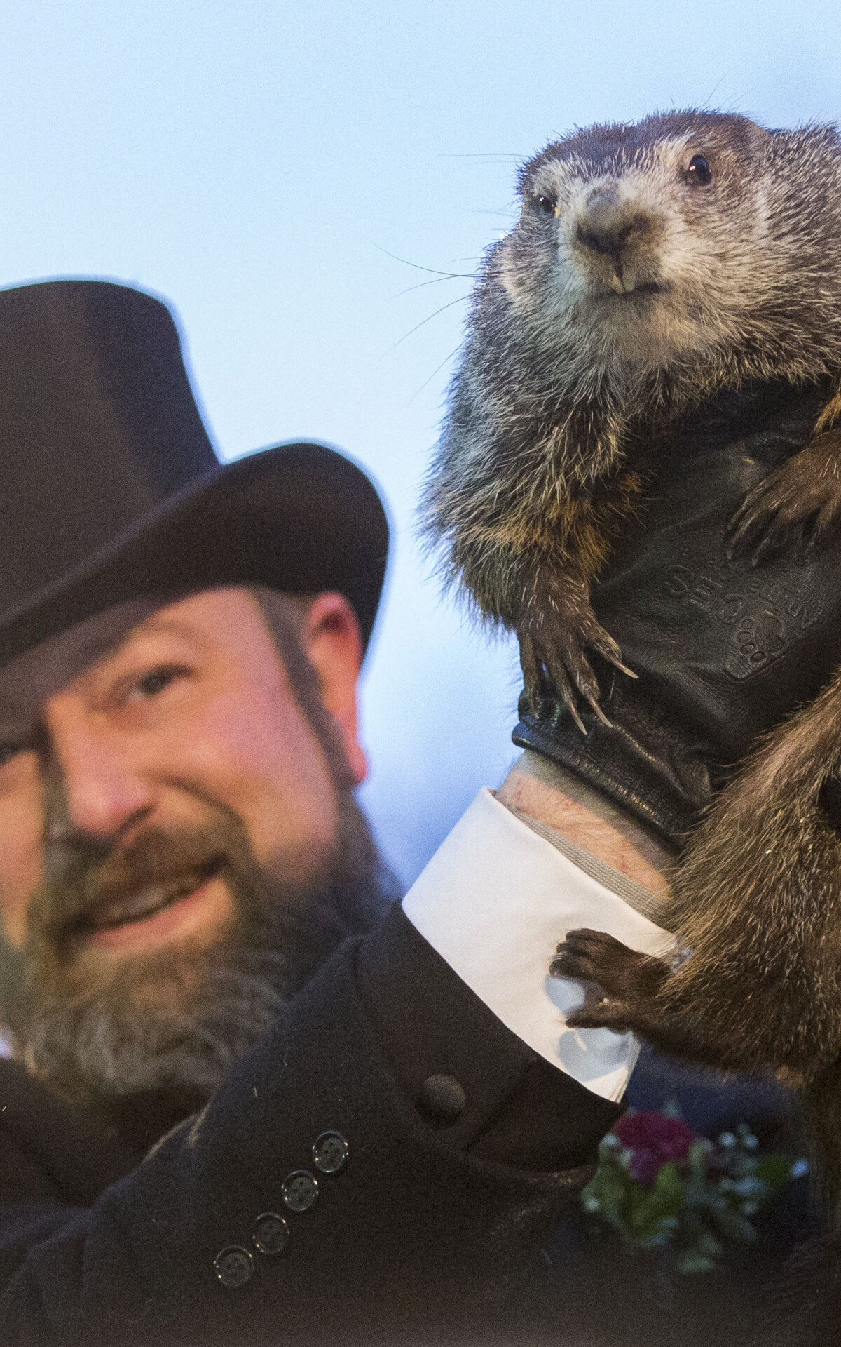 Groundhog Day (Holiday): American tradition, Weather prediction, February 2. 1200x1920 HD Background.