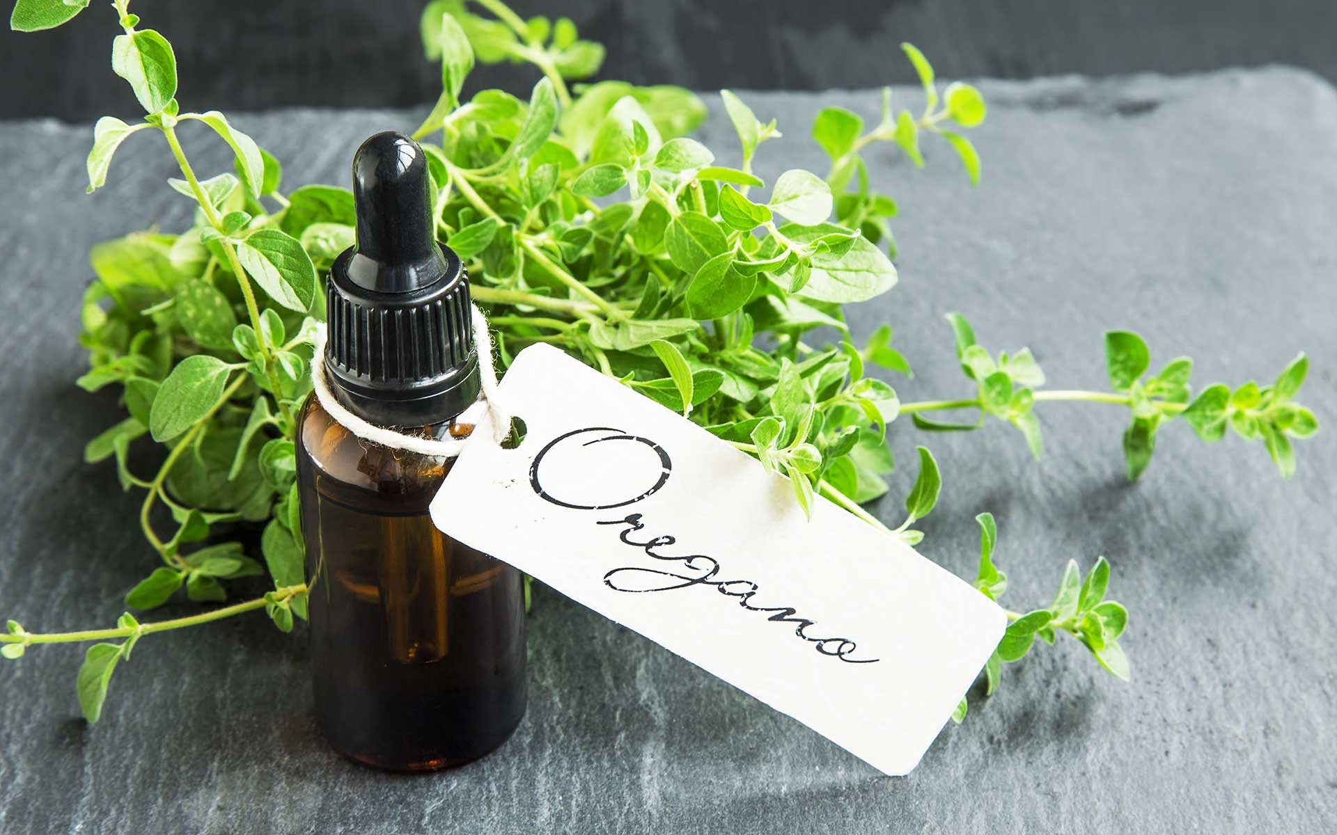 Oregano oil benefits, Natural medicine, Healing properties, Wellness, 1920x1200 HD Desktop