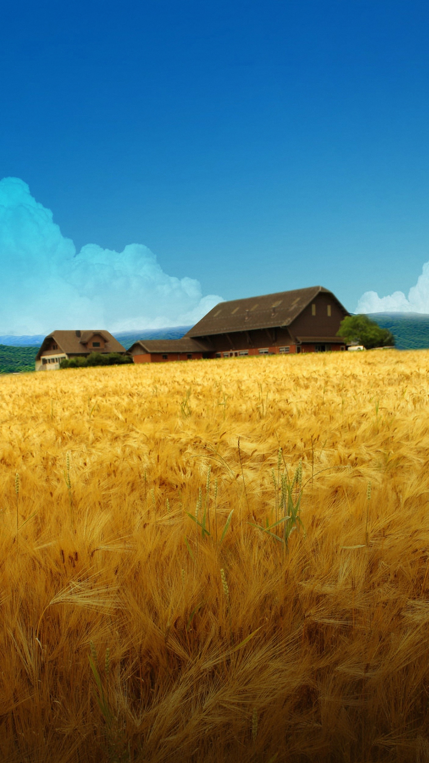 Farm: A farmhouse, Agricultural setting, Residential purpose. 1440x2560 HD Background.