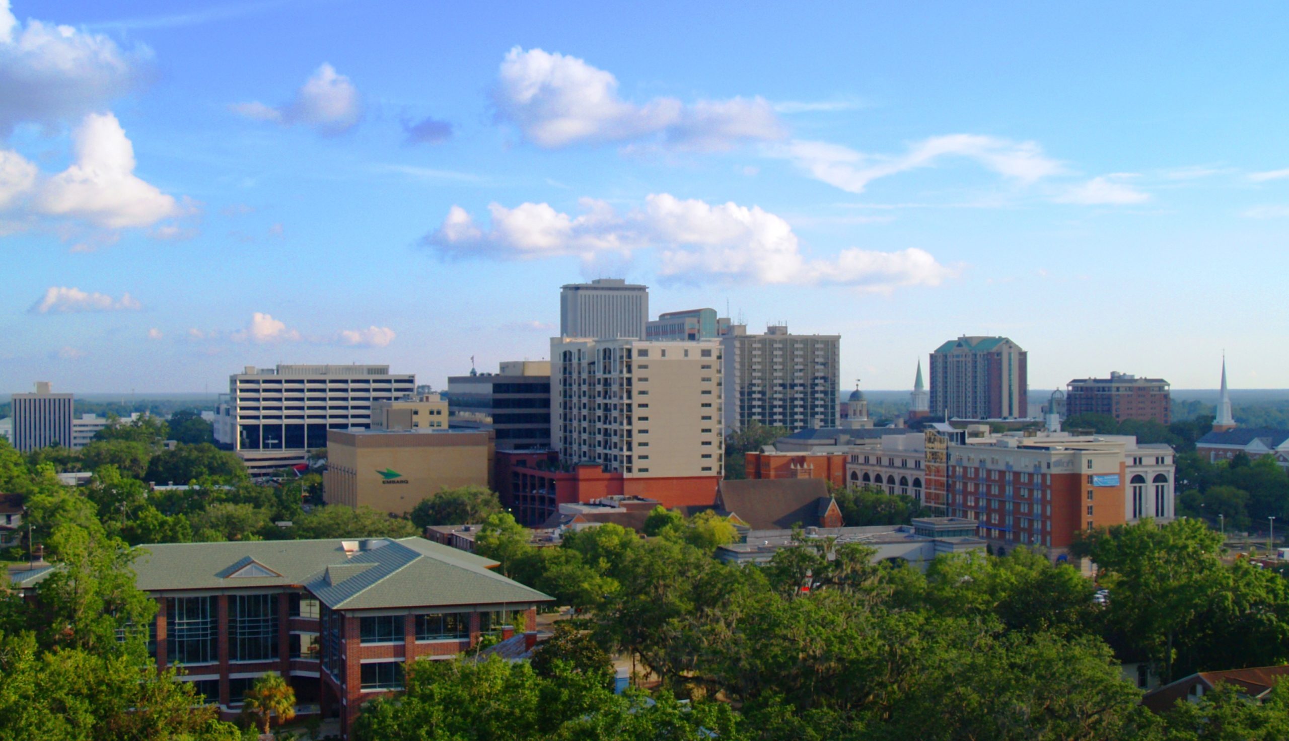 Tallahassee, Travels, Made in the shade, Sun protection, 2560x1480 HD Desktop