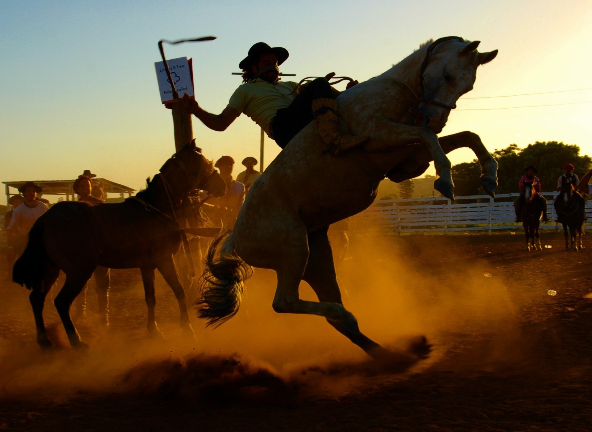 Rodeo: Roping competitions, Bareback broncs, Bucking Horse Breeders Association. 1920x1410 HD Background.