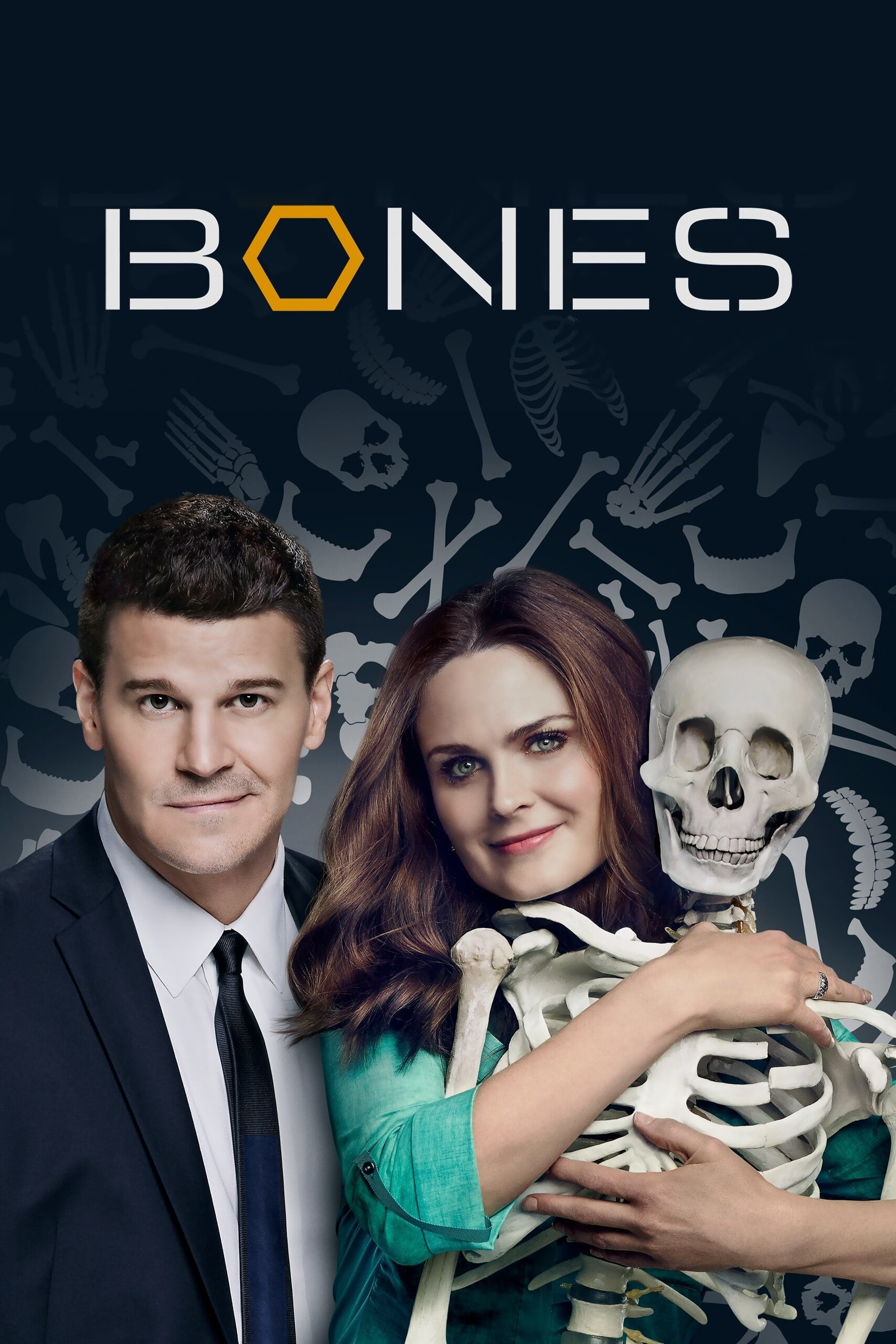Bones posters, TV series 2005-2017, 1710x2570 HD Handy