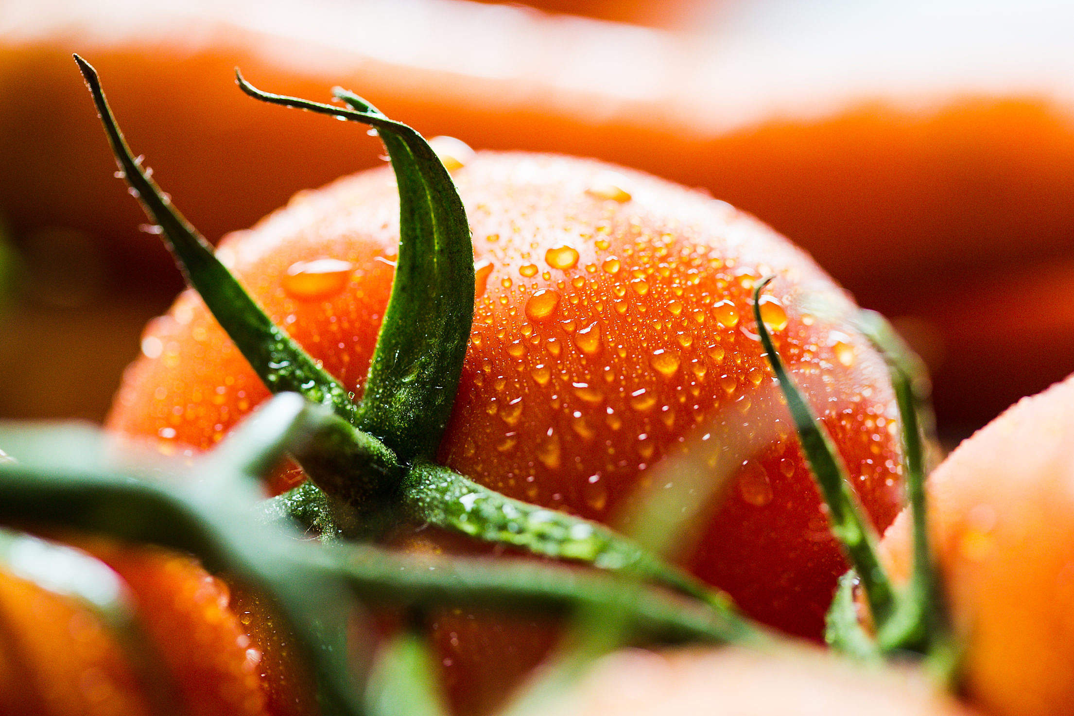 Close-up shot, Water droplets, Fresh tomato, Macro photography, 2210x1480 HD Desktop