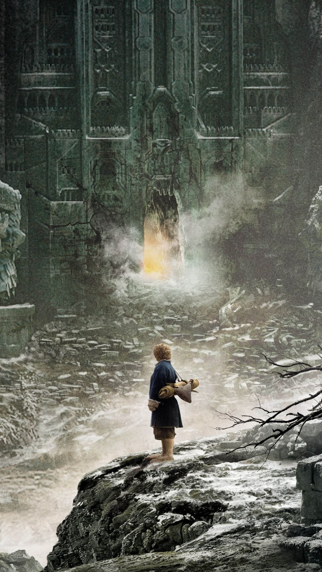 Desolation of Smaug, Movie wallpapers, Hobbit, Movie, 1080x1920 Full HD Phone