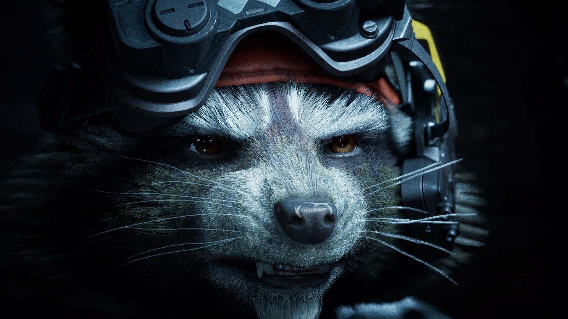 Mr. Fursblack, Rocket Raccoon, 1920x1080 Full HD Desktop