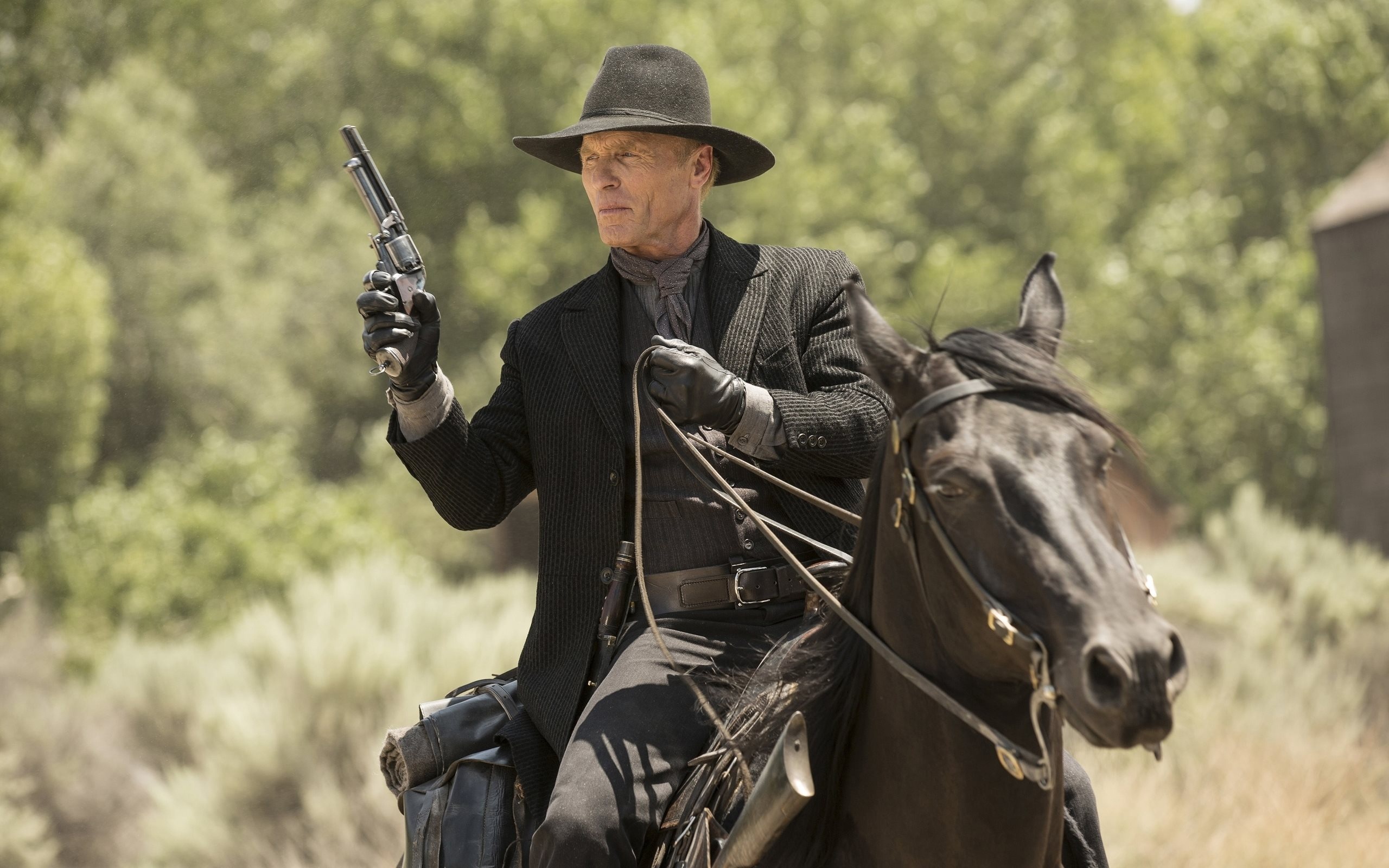 Weapons, Horse frame, Cowboy revolver, Western TV series, 2560x1600 HD Desktop